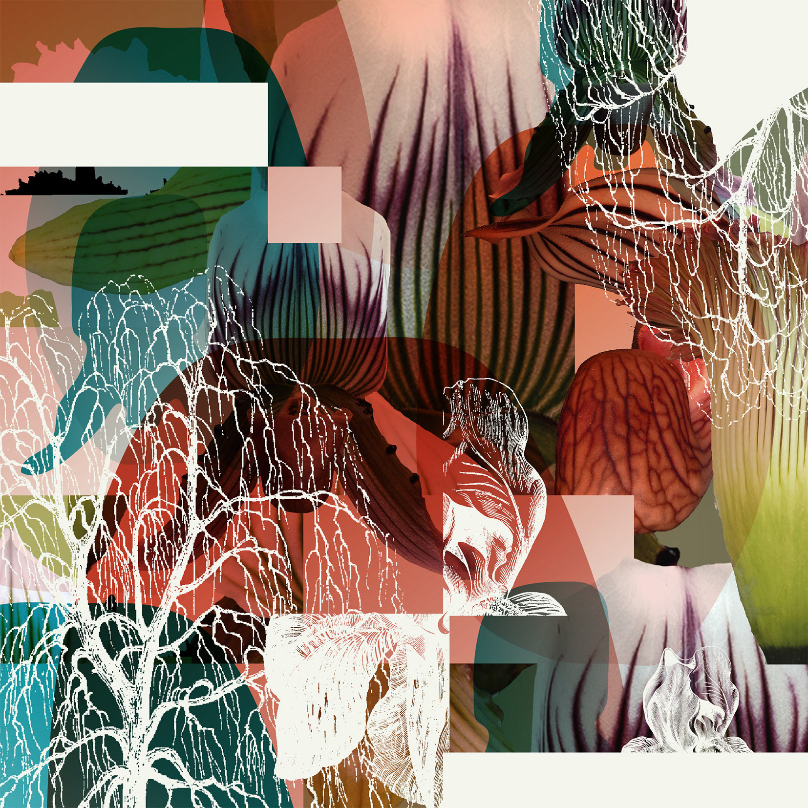 Mod Collage