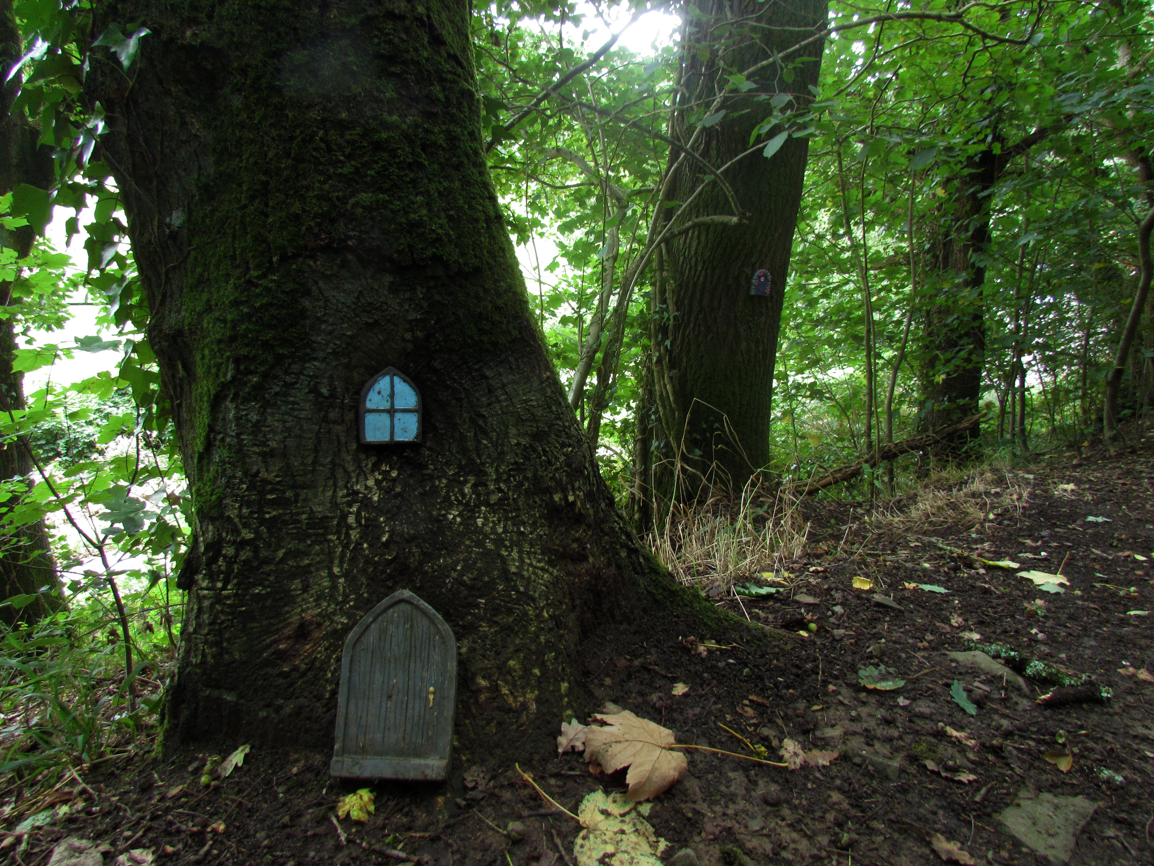 Fairy House