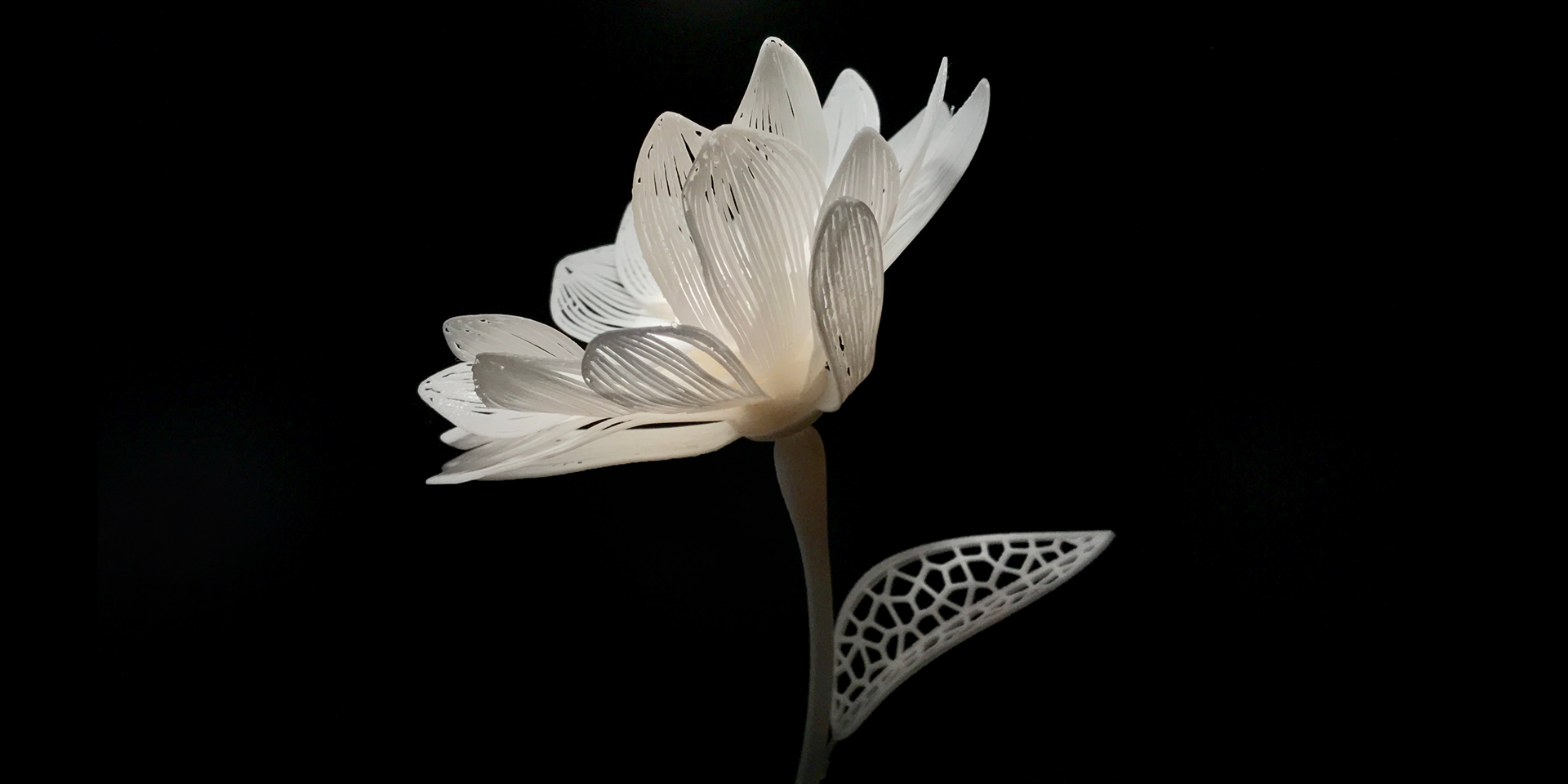 Fabgene まつろわぬ物質 展示作品 4d Flower