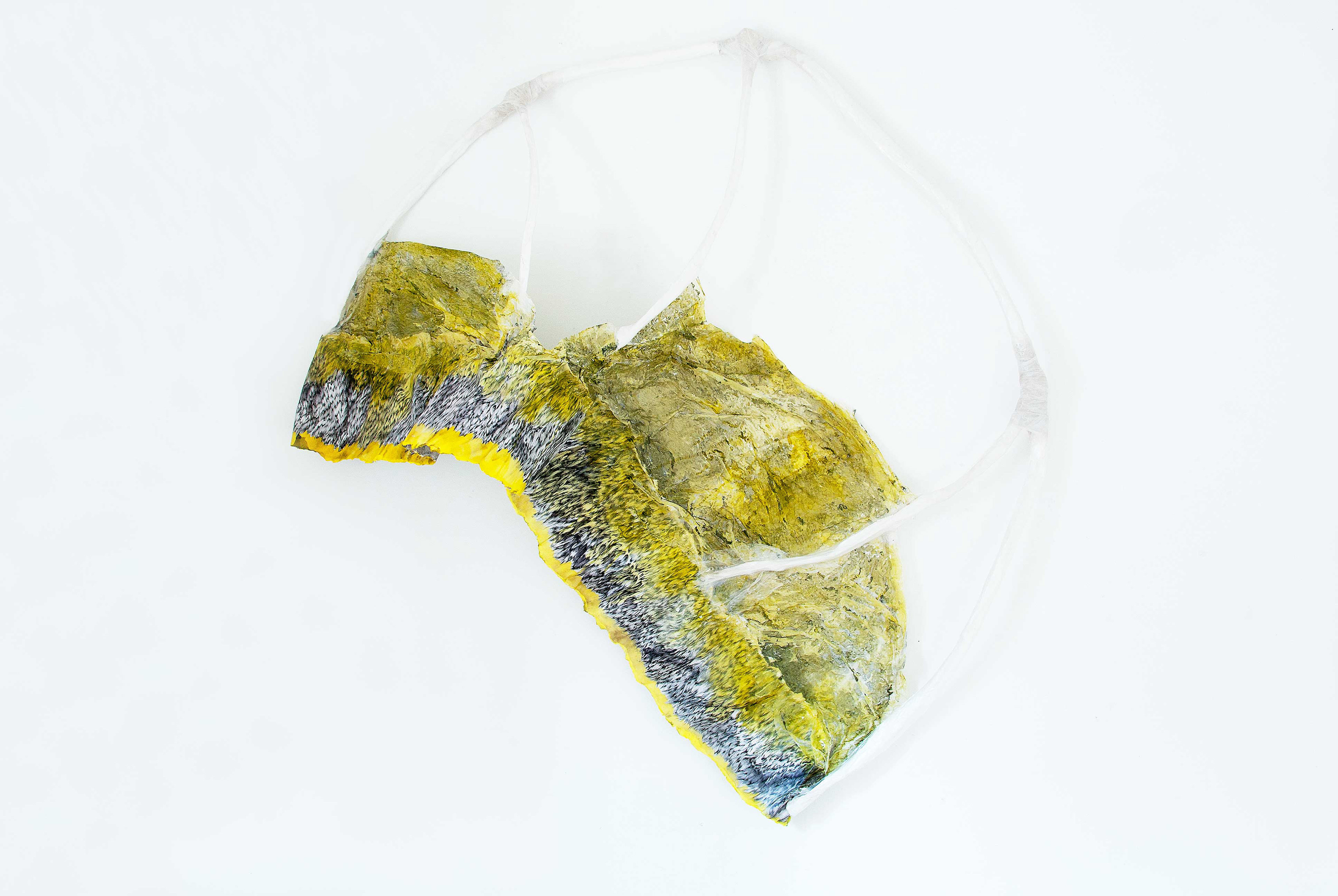 "Wings for walking" work in progress about time and transformation