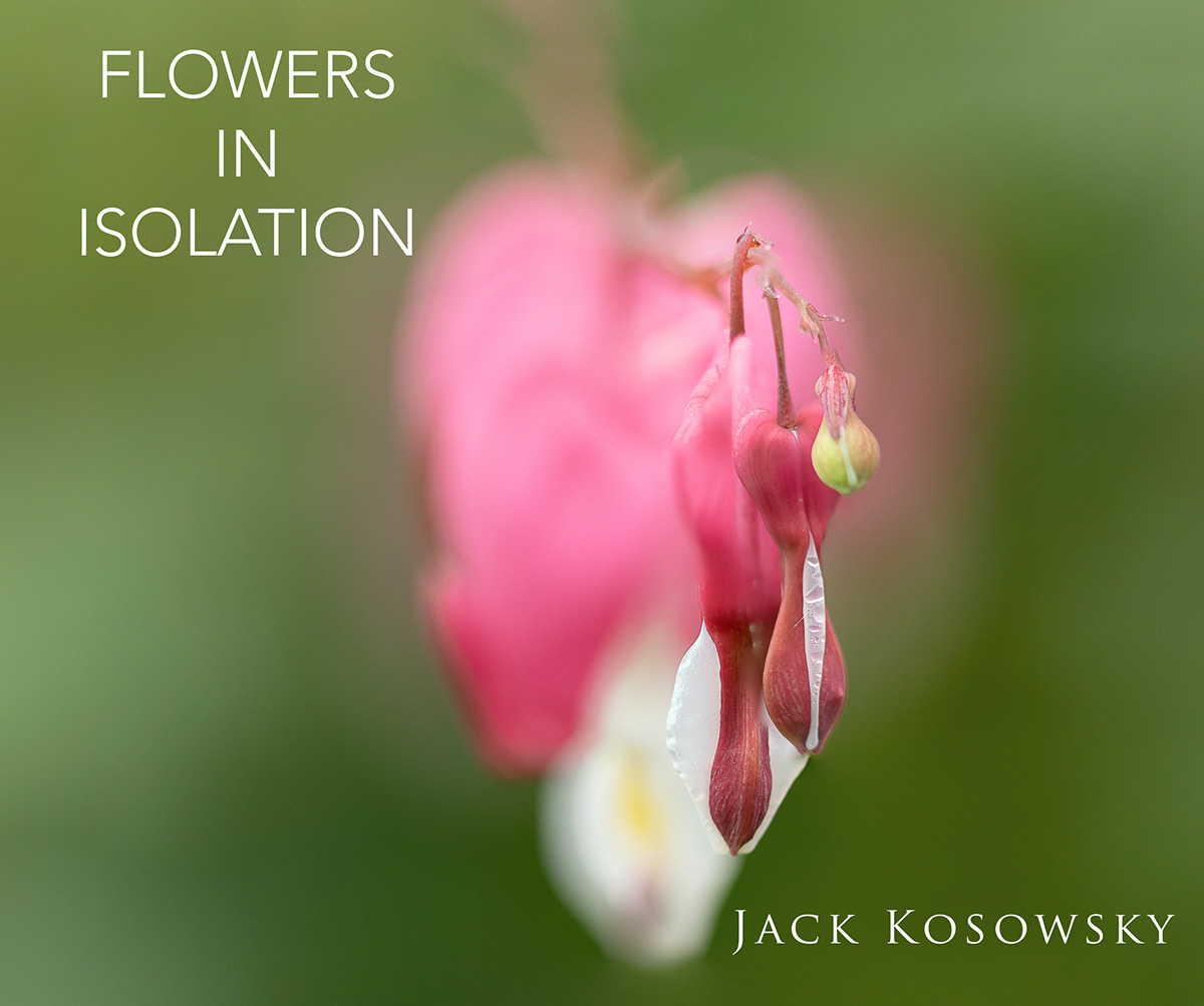 Flowers In Isolation Order Information