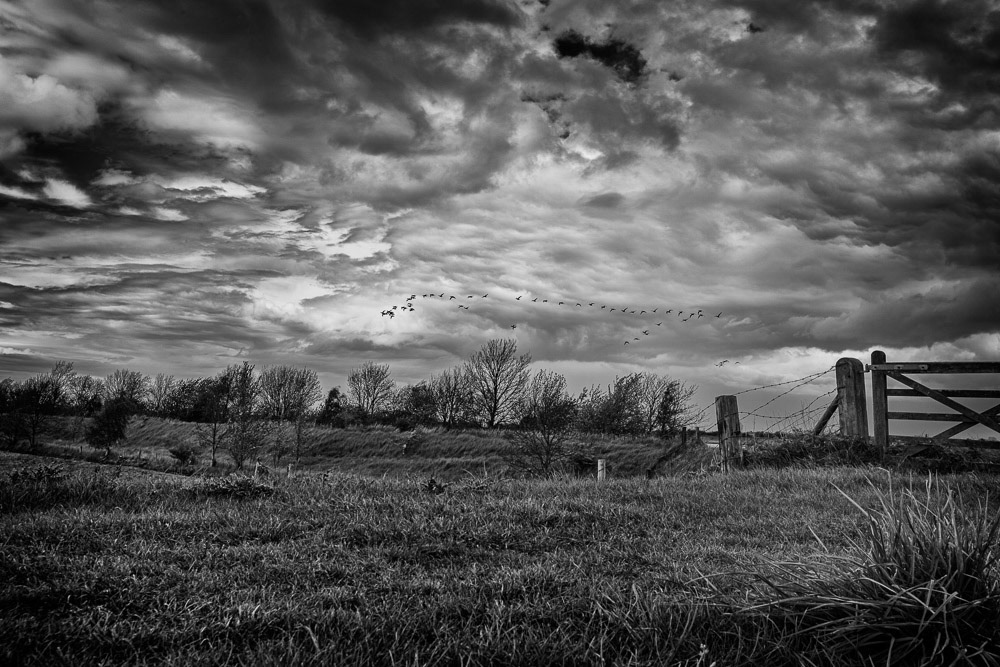 Freiston Shore