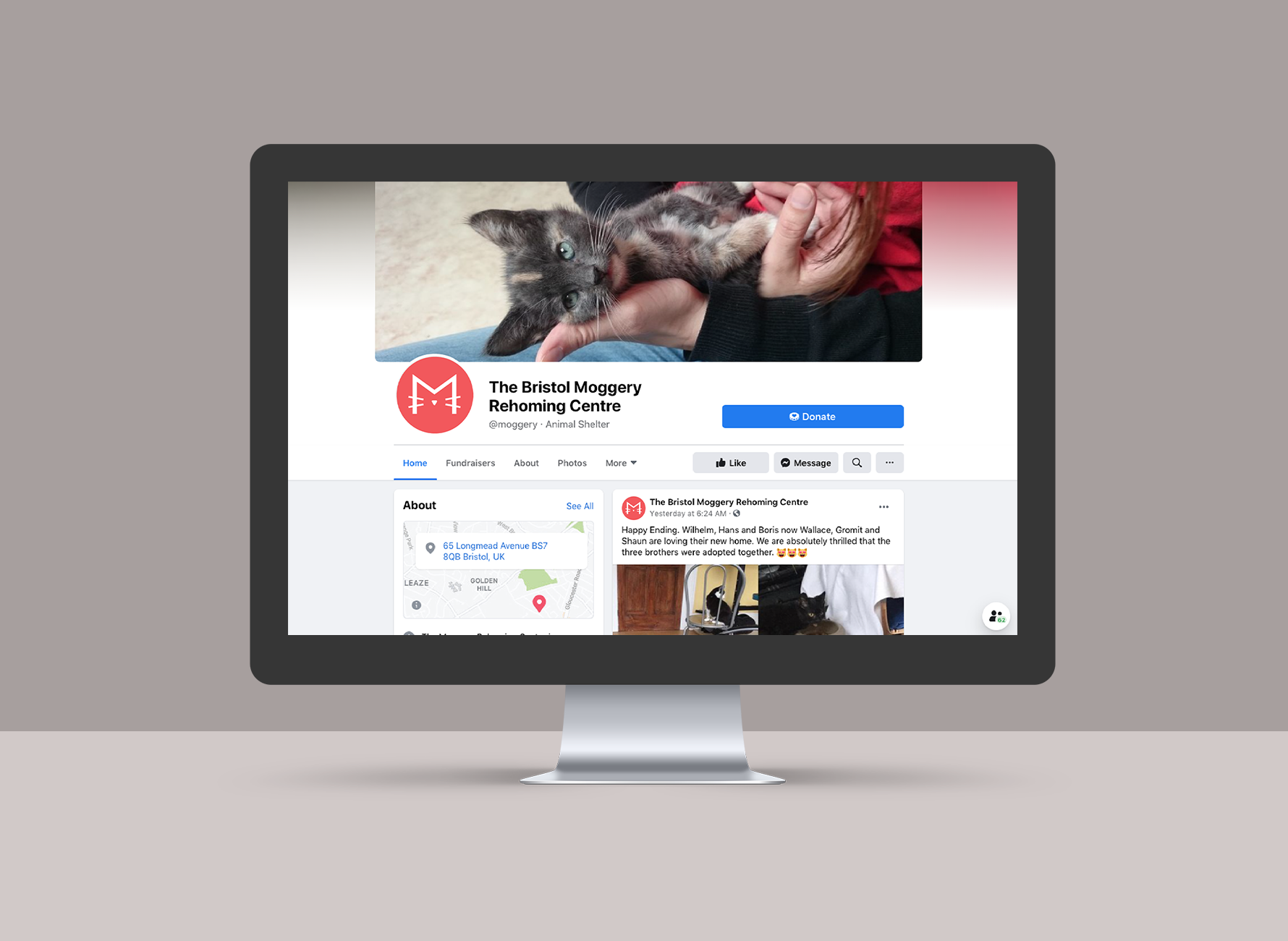 The Moggery logo design social media concept