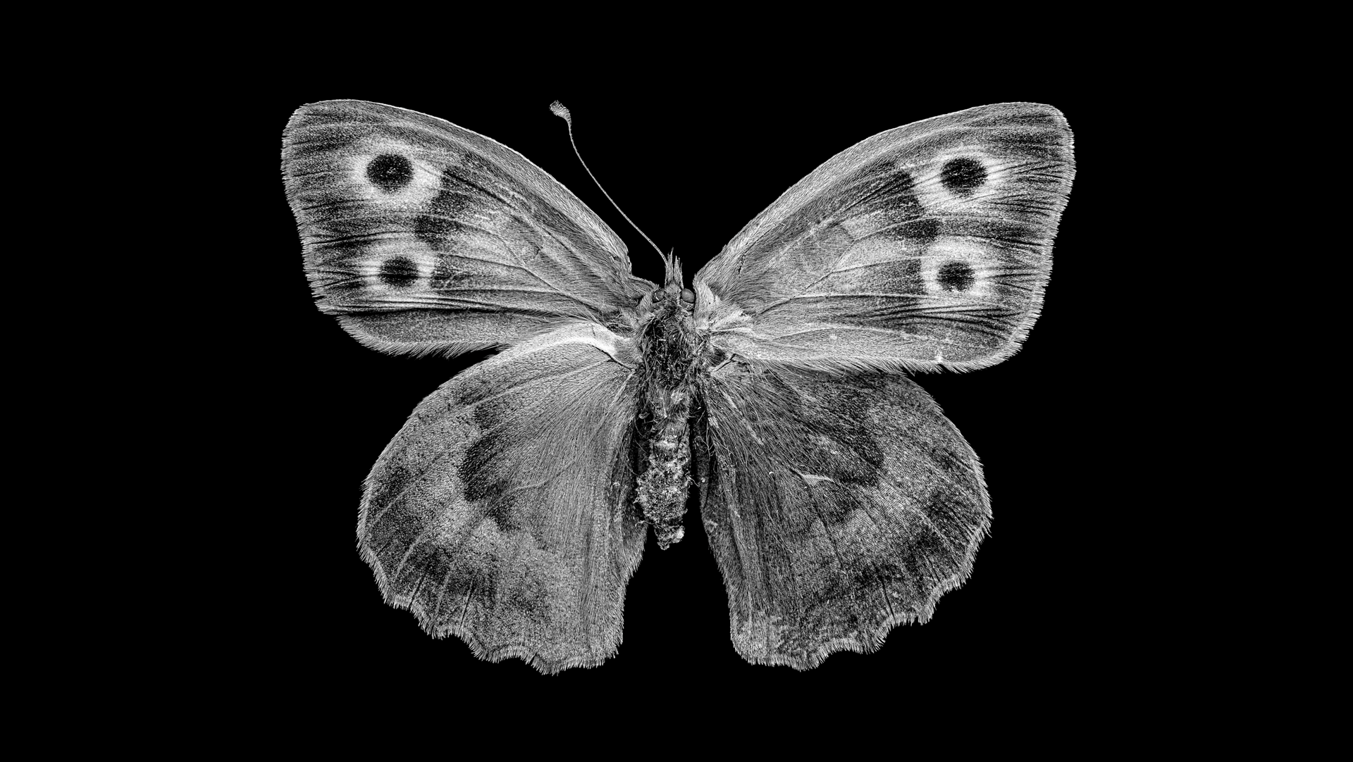 Andrey Akimov Photography andrey-akimov-photography