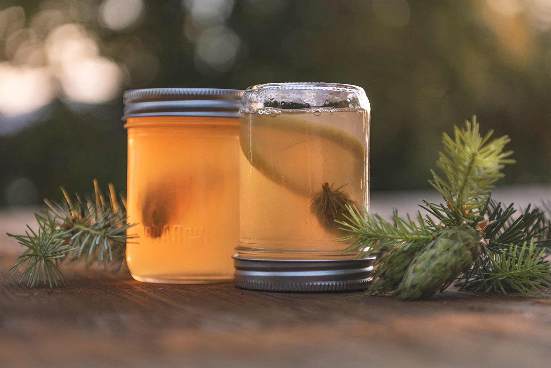 Spruce jelly