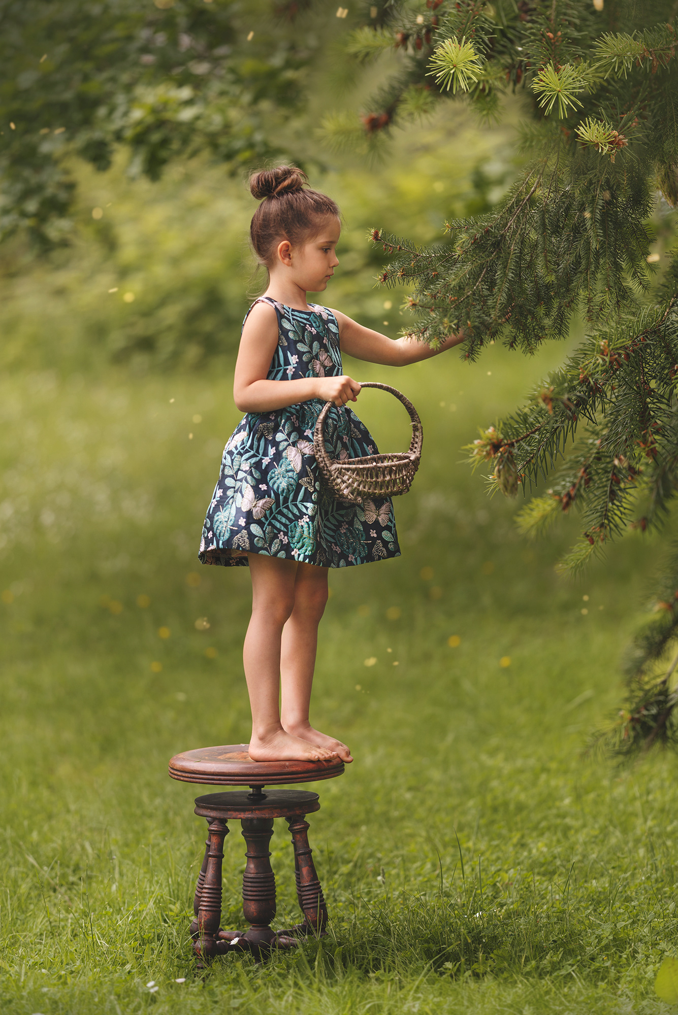 Picking spruce