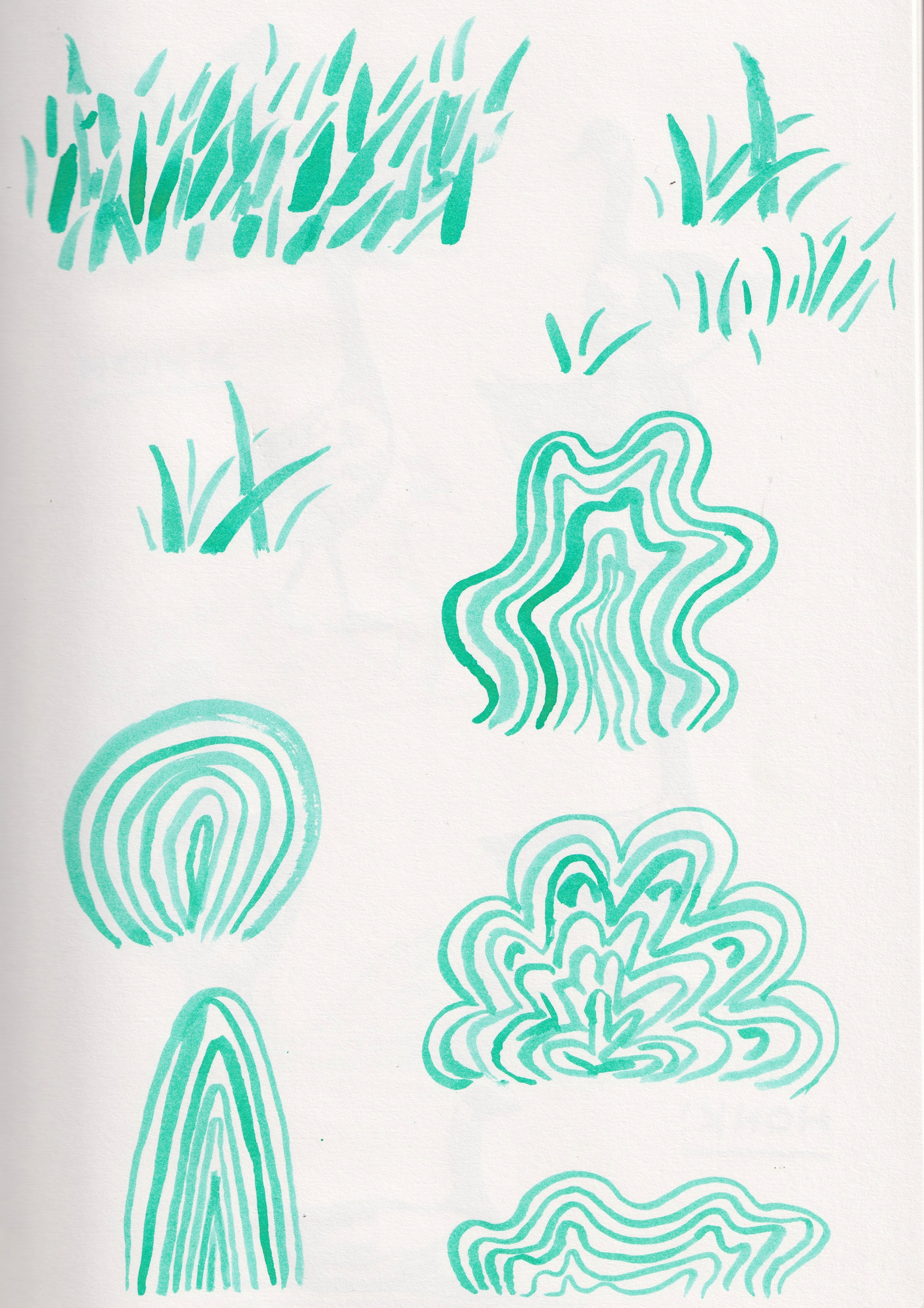 Sketchbook: foliage