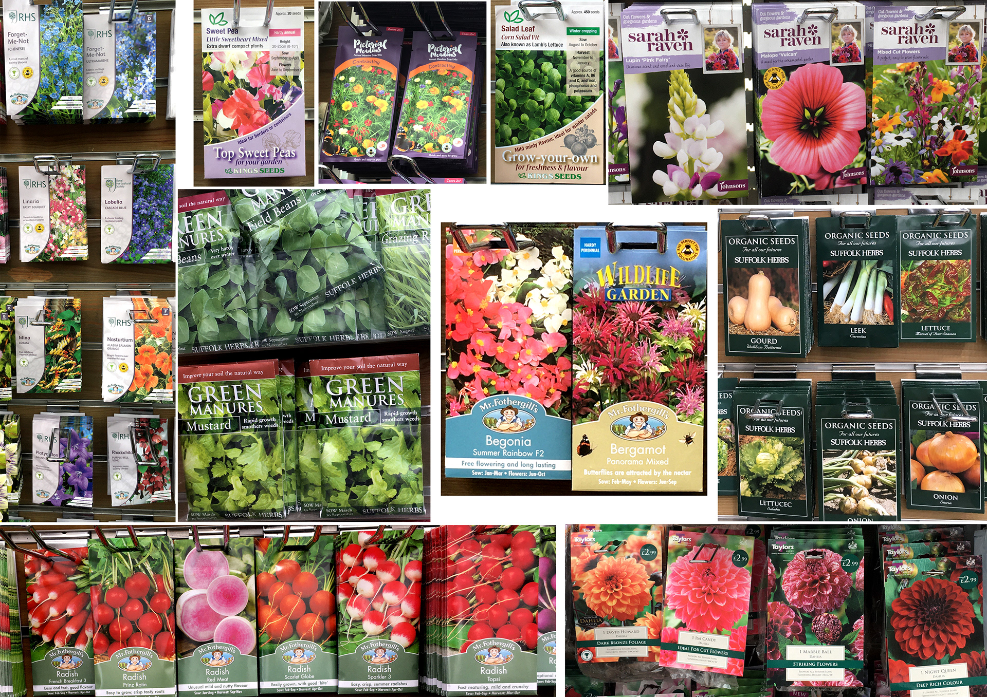 Looking at the variety of seed packet designs and which ones appeal the most. I am most drawn to the classic and centred styles