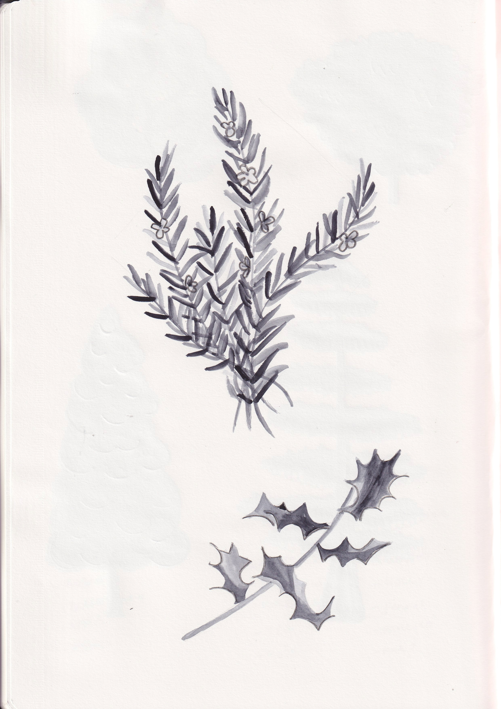 Rosemary and holly