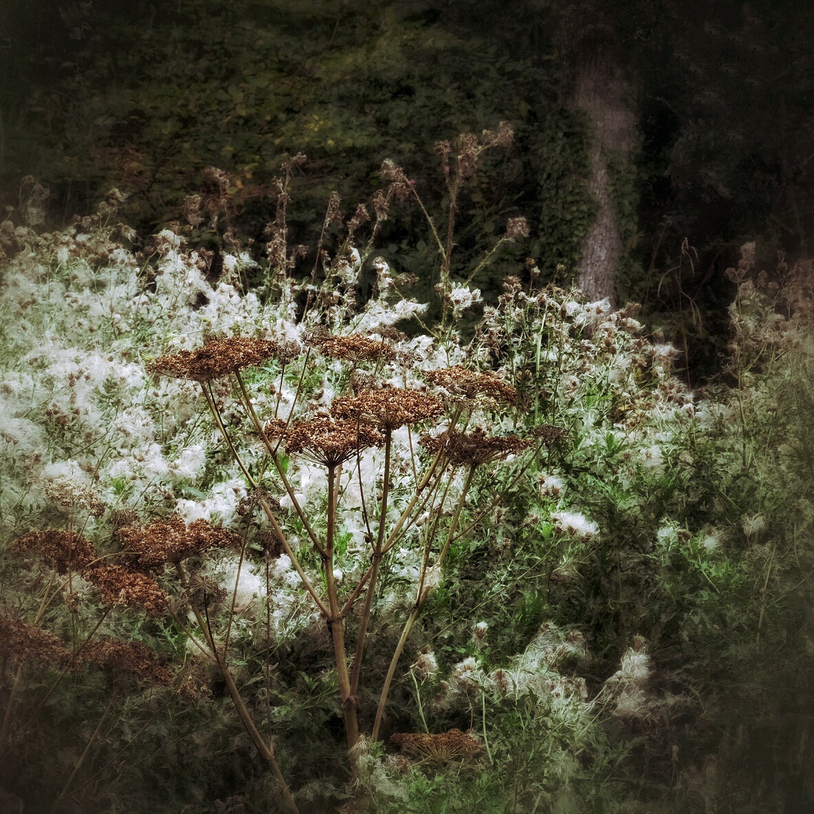 September