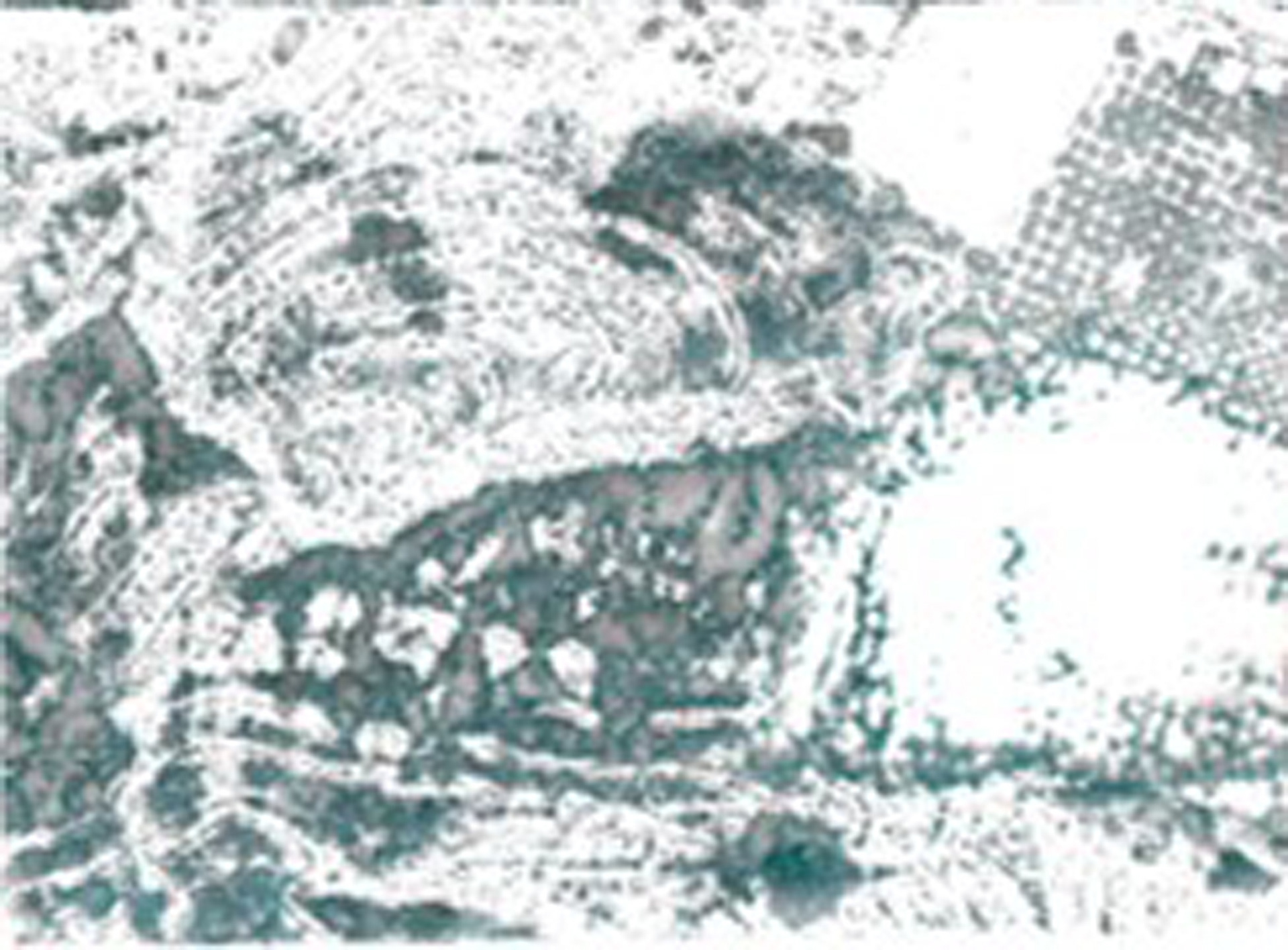 Rima Rabai, Ces souvenirs tâches, 2021, technique mixte sur papier photo argentique, dimensions variables.