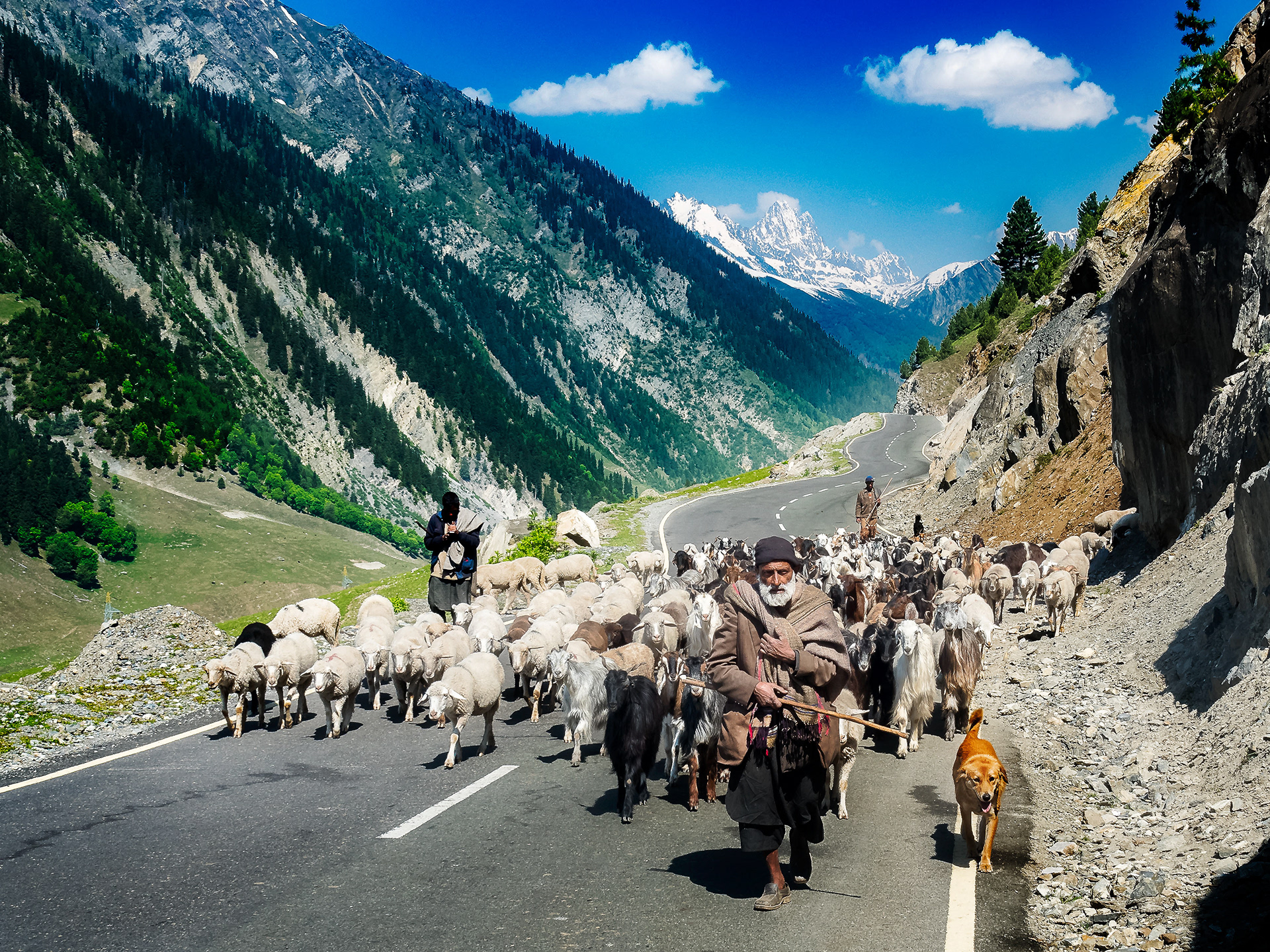 Mountain pass near Sonmarg