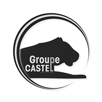 GROUPE CASTEL