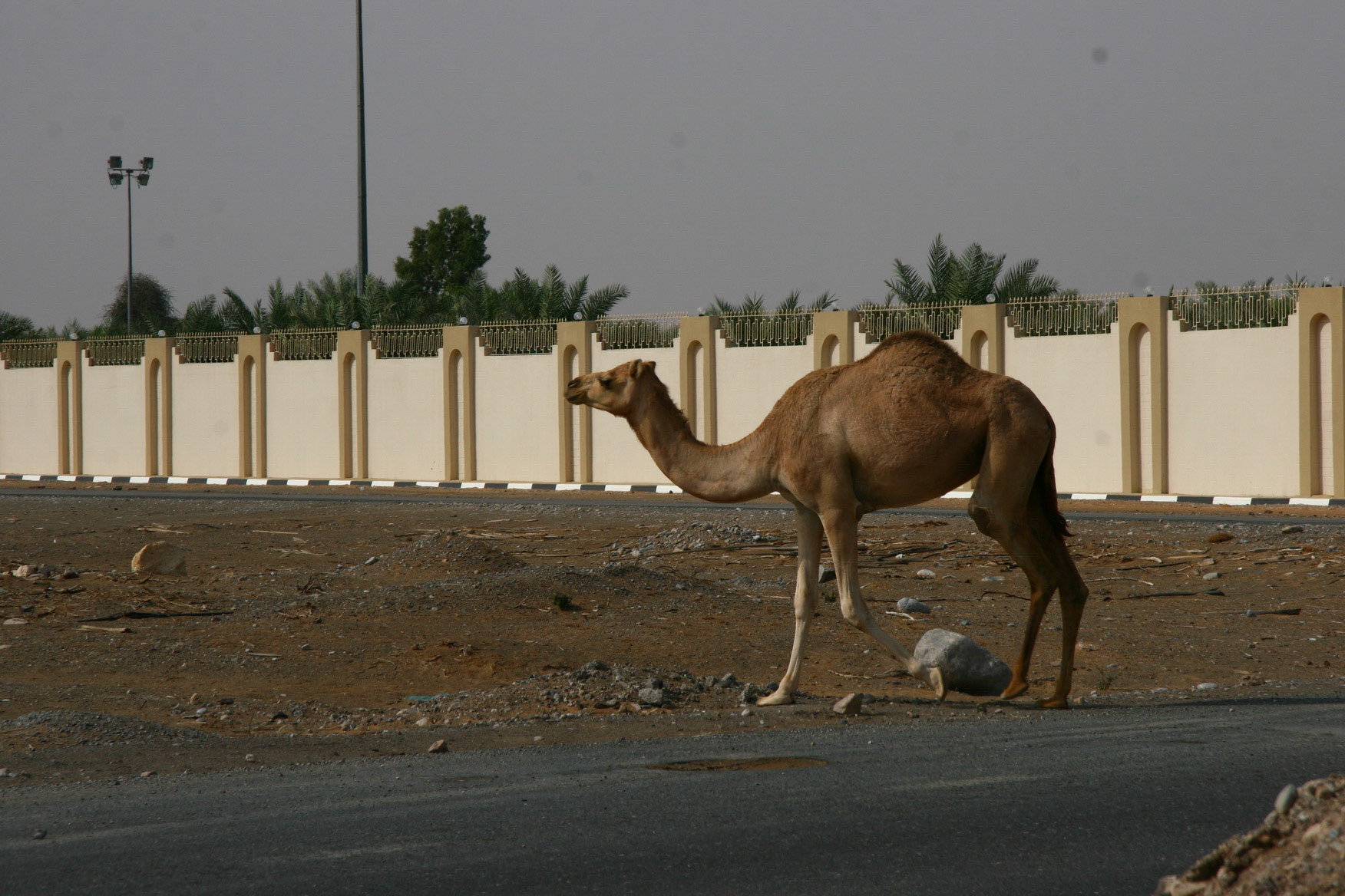Falaj Al Moala