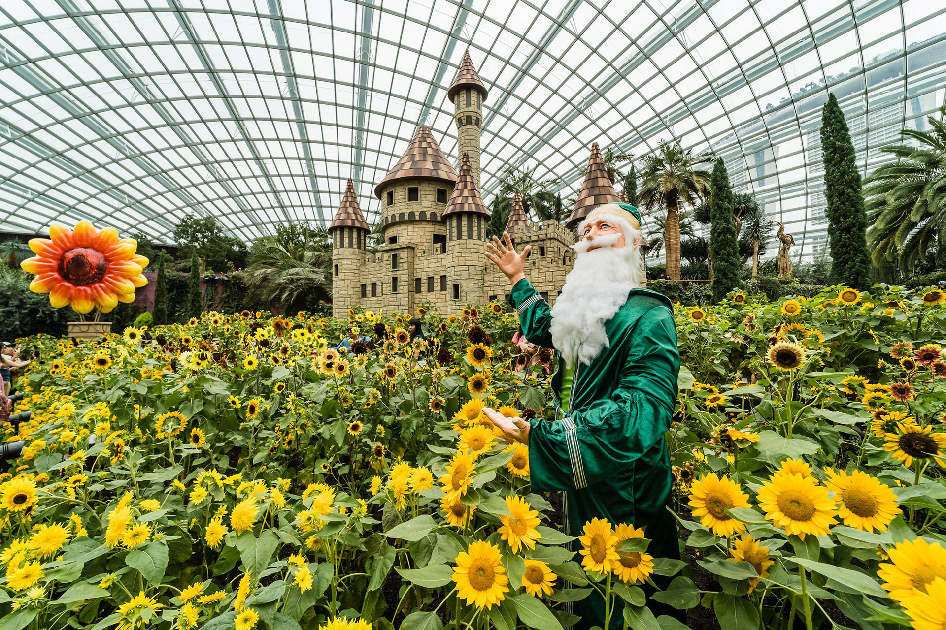 Sunflower Surprise 2018