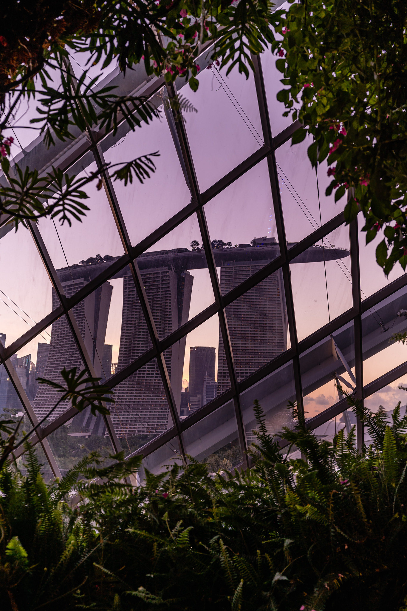 Marina Bay Sands from the Cloud Forest