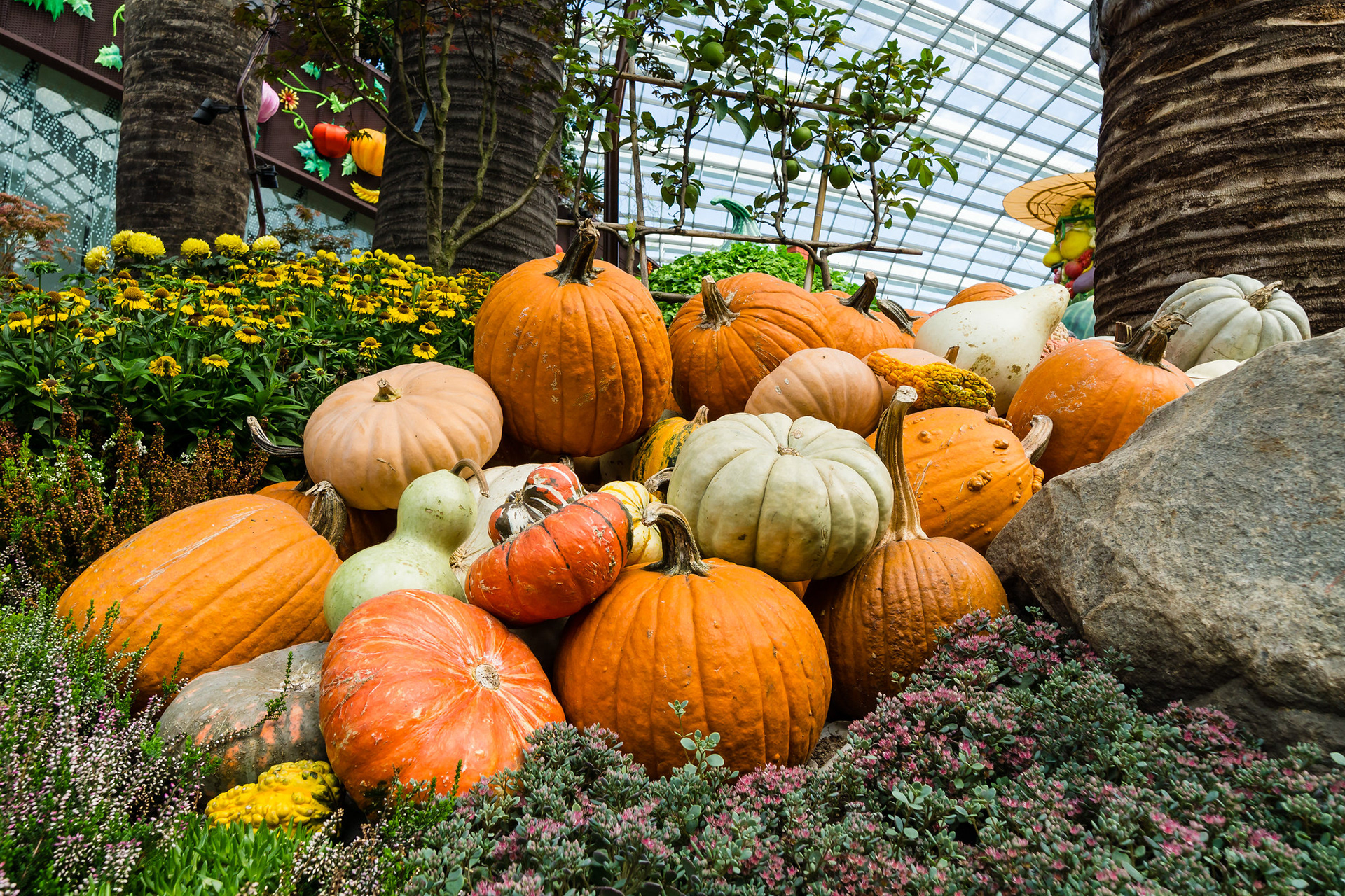 Autumn Harvest 2017
