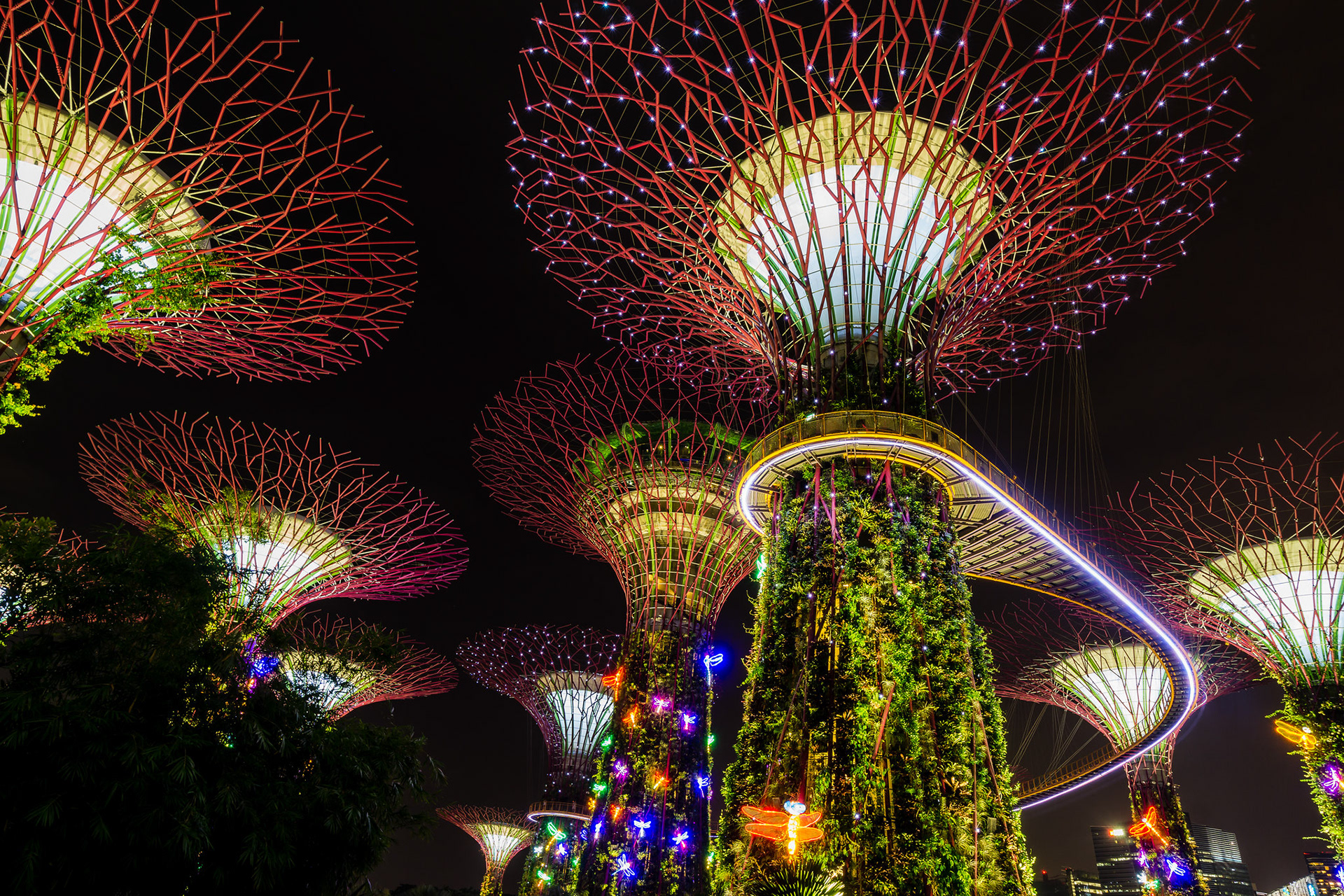 Super Trees