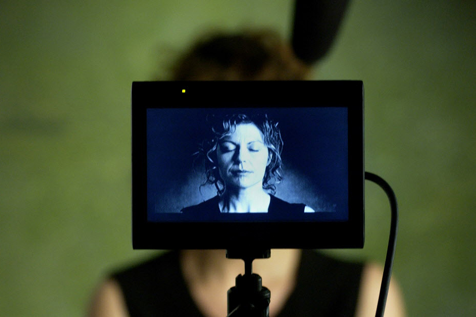 Marie-Chantal Perron
