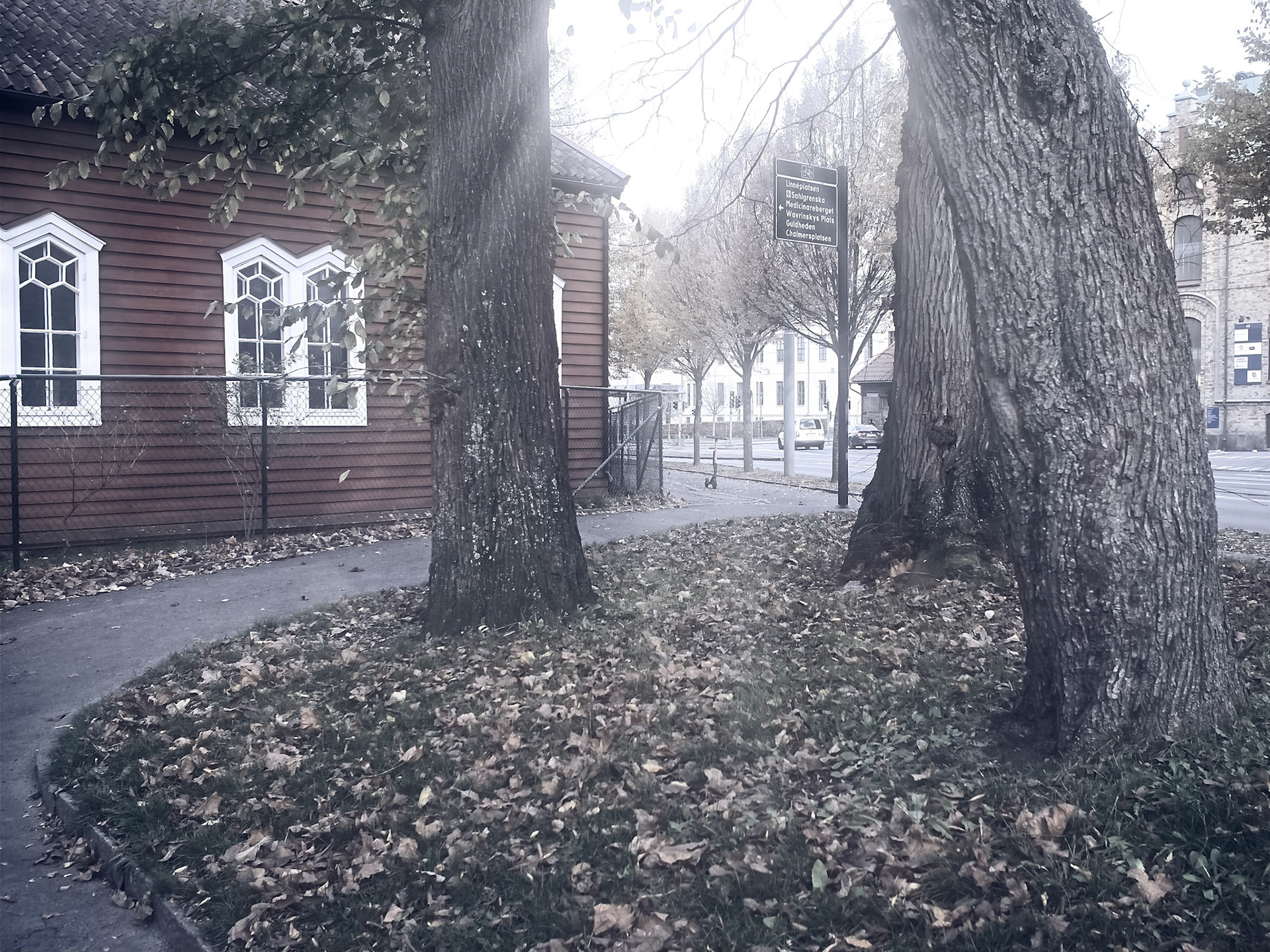 Göteborg November 2019