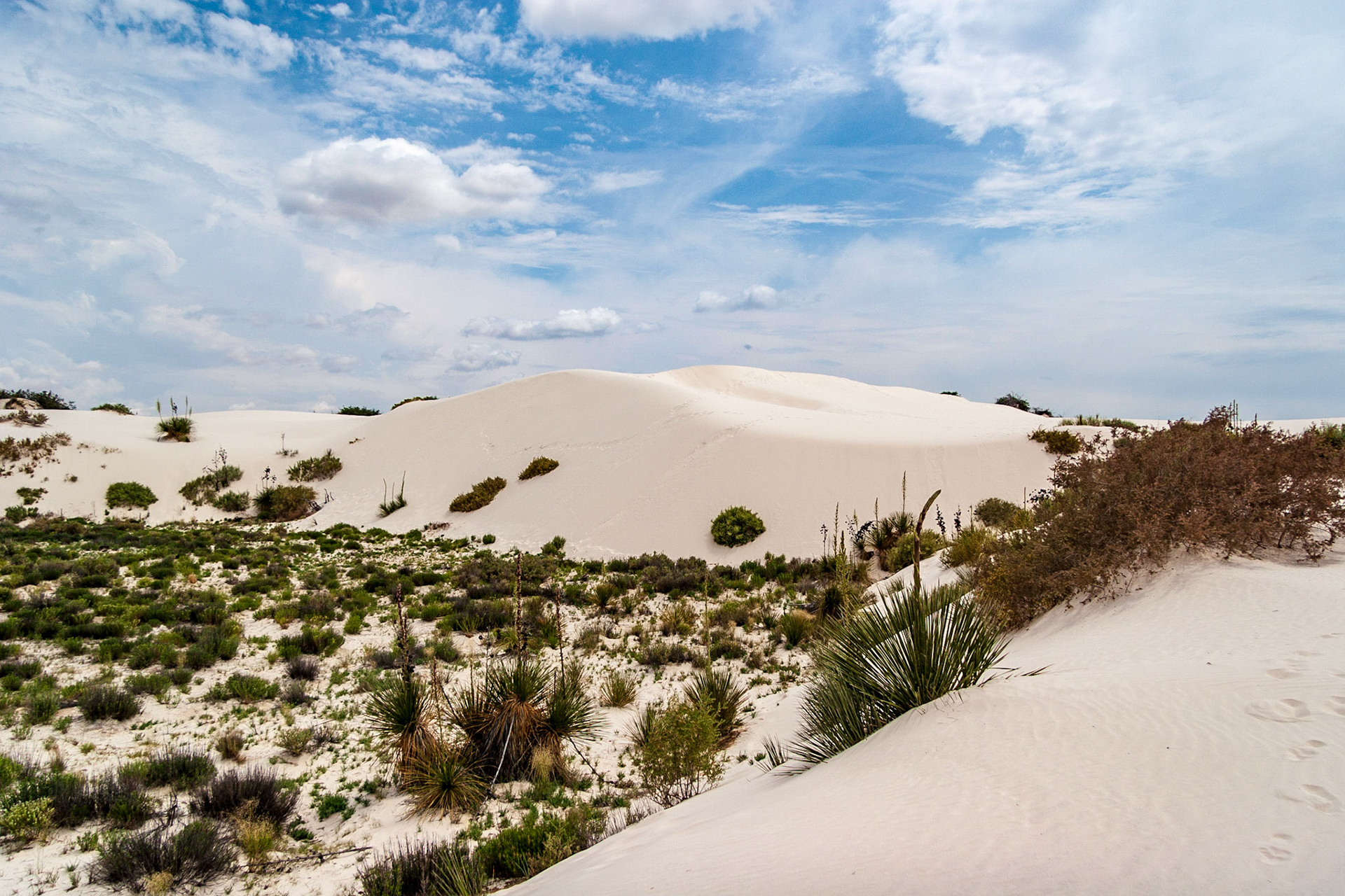 White Sands National Monument, New Mexico. Rising from the heart of the Tularosa Basin is one of the world's great natural wonders - the glistening white sands of New Mexico. Great wave-like dunes of gypsum sand have engulfed 275 square miles of desert, creating the world's largest gypsum dunefield. White Sands National Monument preserves a major portion of this unique dunefield, along with the plants and animals that live here.