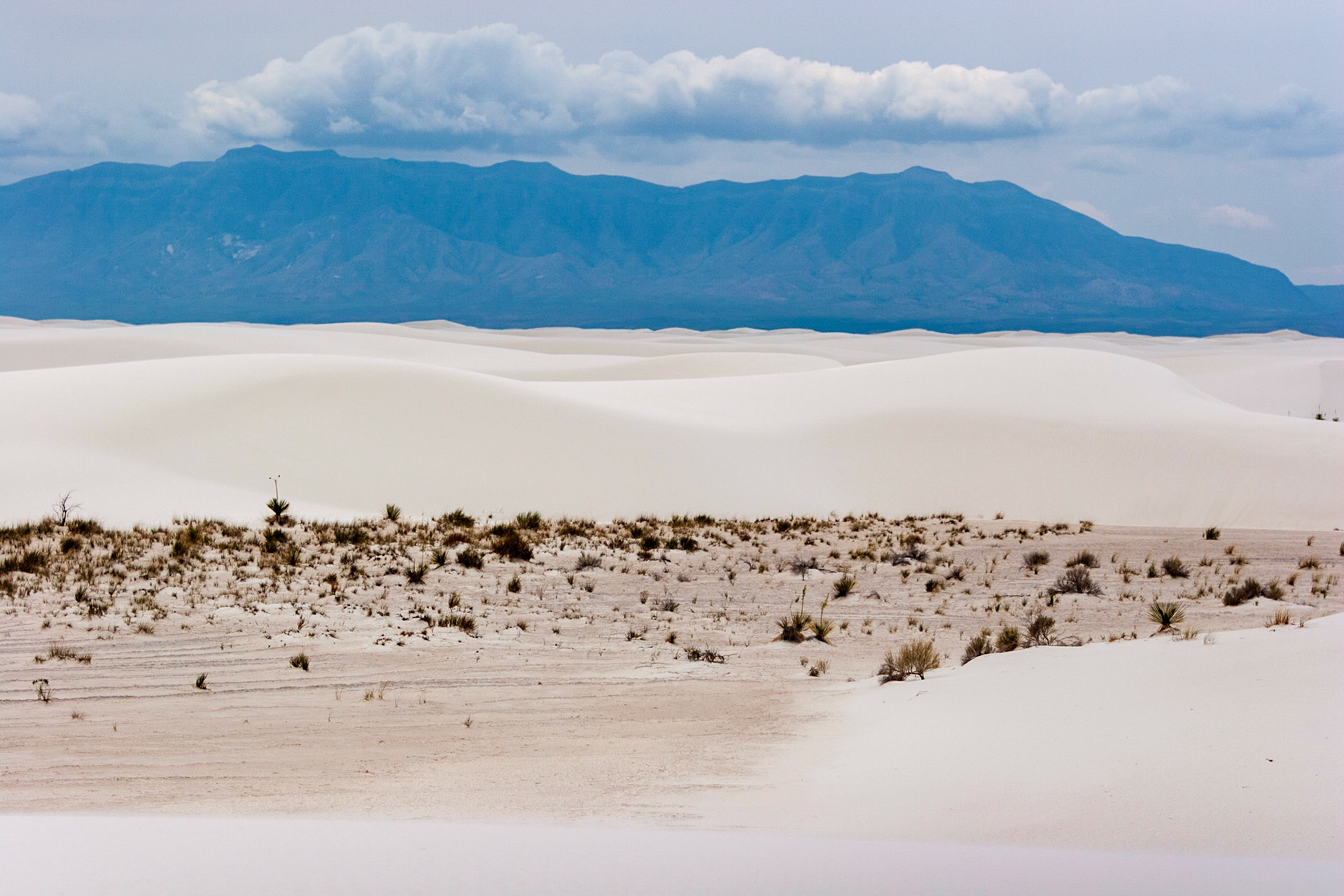 White Sands National Monument, New Mexico. Rising from the heart of the Tularosa Basin is one of the world's great natural wonders - the glistening white sands of New Mexico. Great wave-like dunes of gypsum sand have engulfed 275 square miles of desert, creating the world's largest gypsum dunefield. White Sands National Monument preserves a major portion of this unique dunefield, along with the plants and animals that live here.