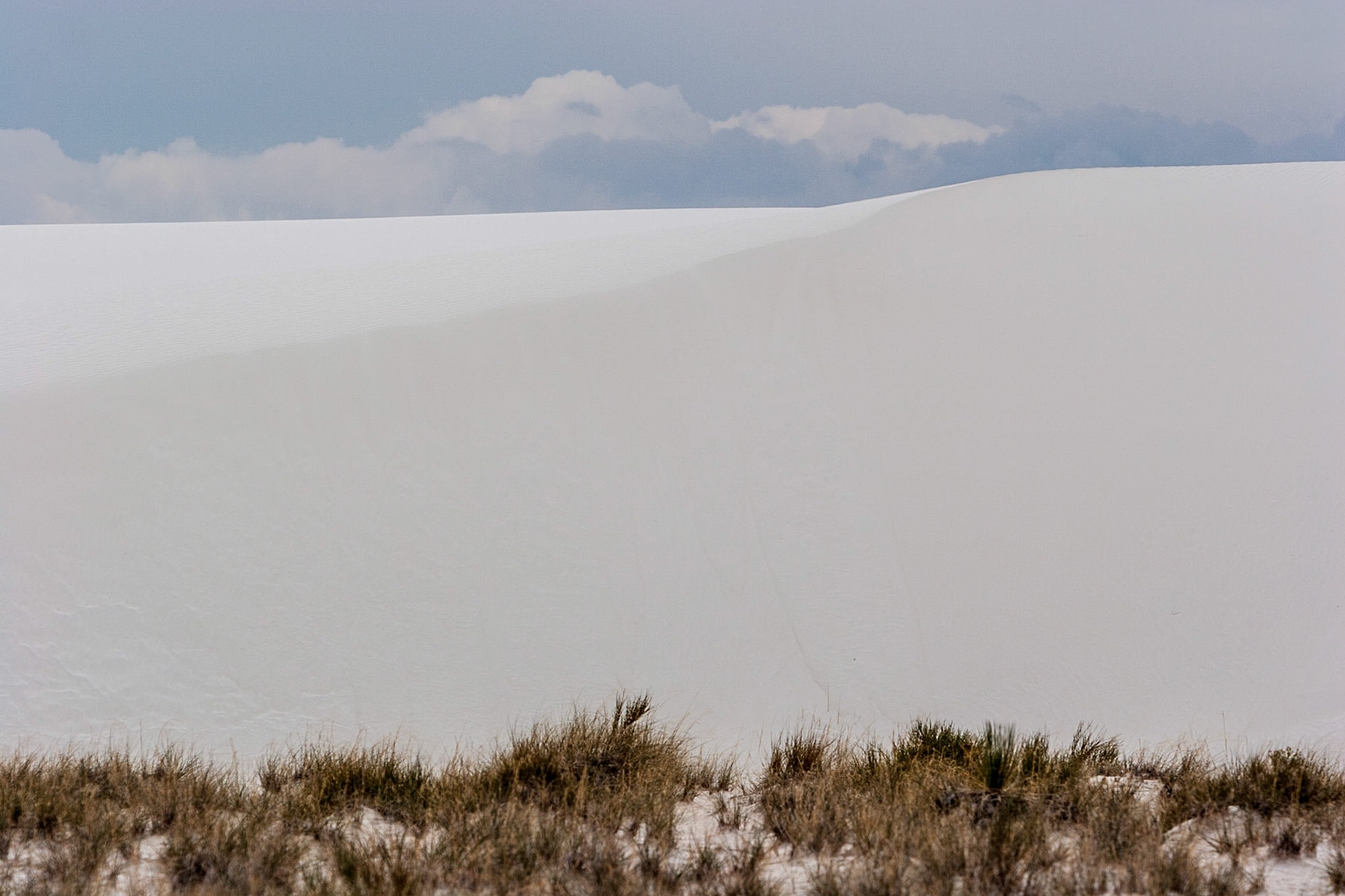 White Sands National Monument, New Mexico. Rising from the heart of the Tularosa Basin is one of the world's great natural wonders - the glistening white sands of New Mexico. Great wave-like dunes of gypsum sand have engulfed 275 square miles of desert, creating the world's largest gypsum dunefield. White Sands National Monument preserves a major portion of this unique dunefield, along with the plants and animals that live here.
