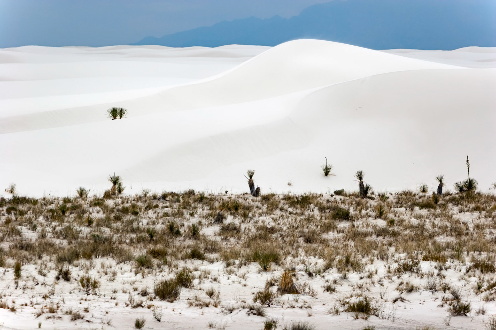 White Sands National Monument, New Mexico. Rising from the heart of the Tularosa Basin is one of the world's great natural wonders - the glistening white sands of New Mexico. Great wave-like dunes of gypsum sand have engulfed 275 square miles of desert, creating the world's largest gypsum dunefield. White Sands National Monument preserves a major portion of this unique dunefield, along with the plants and animals that live here.