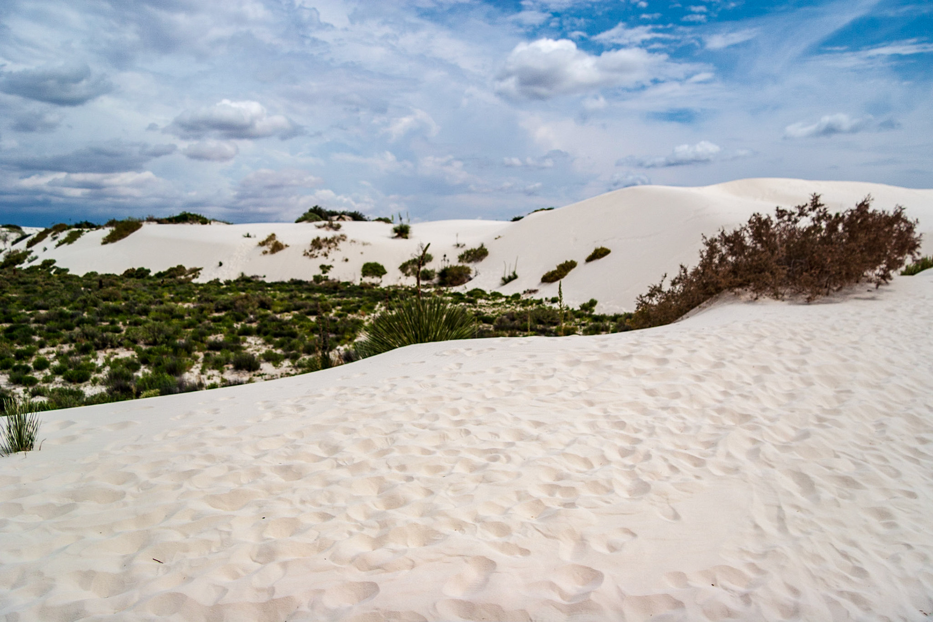 White Sands National Monument, New Mexico. Rising from the heart of the Tularosa Basin is one of the world's great natural wonders - the glistening white sands of New Mexico. Great wave-like dunes of gypsum sand have engulfed 275 square miles of desert, creating the world's largest gypsum dunefield. White Sands National Monument preserves a major portion of this unique dunefield, along with the plants and animals that live here.