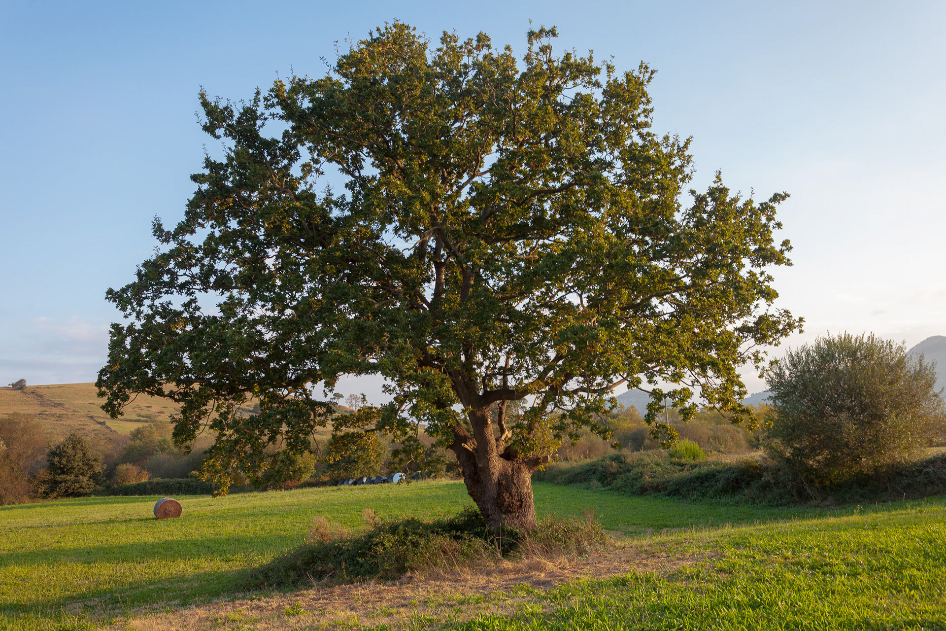 Setién, Cantabria