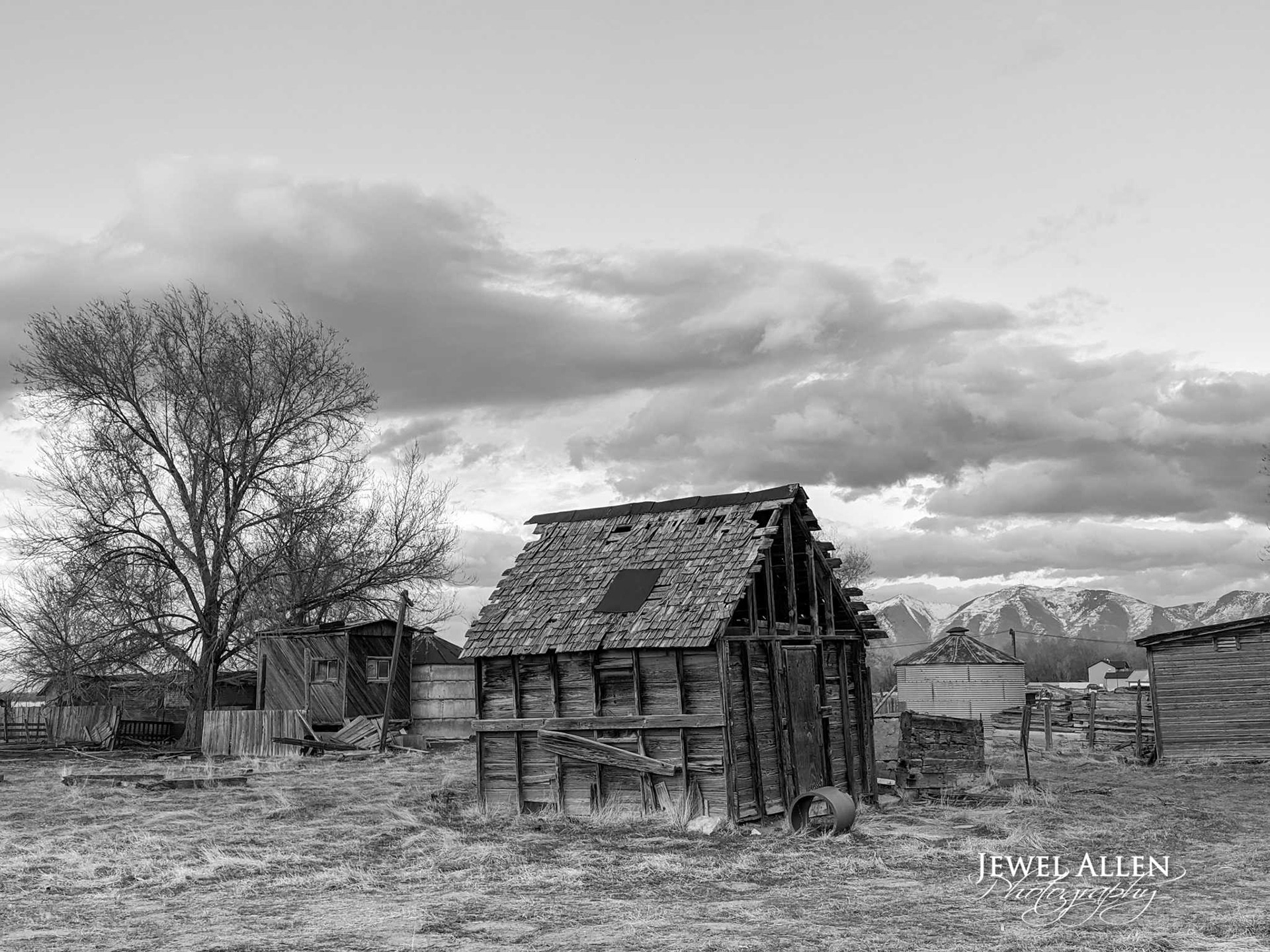 Shed on Race Street