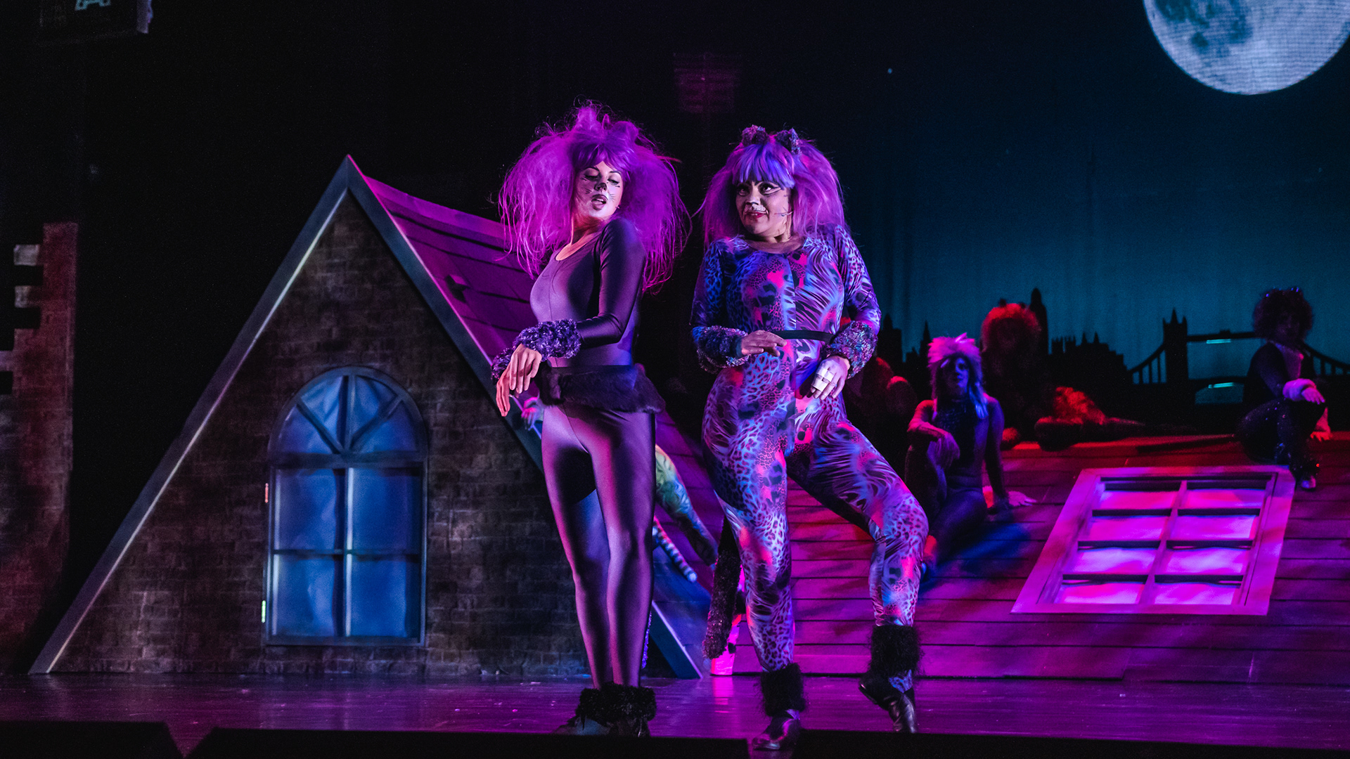 Cats The Musical