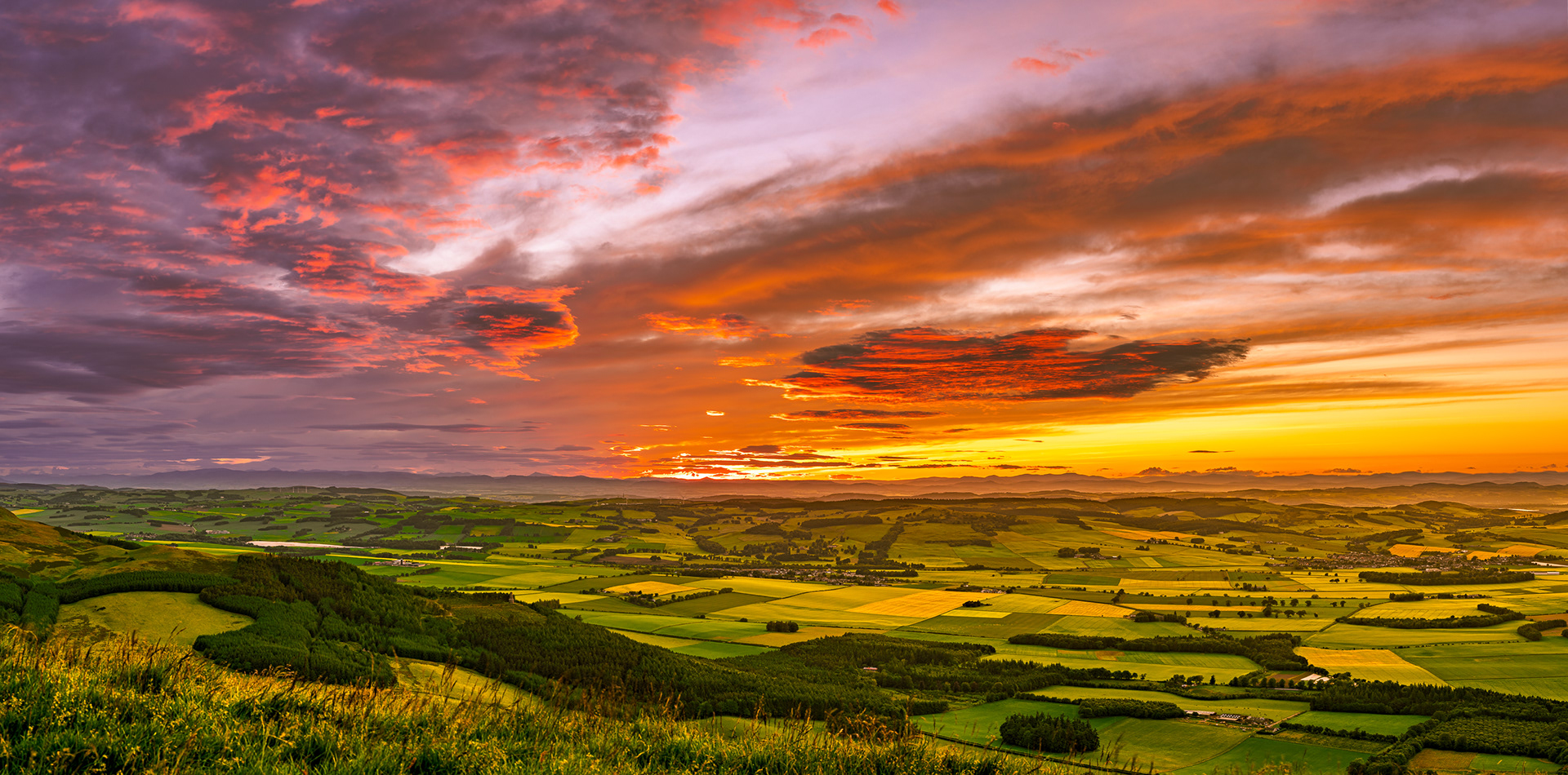 Falkland Hills