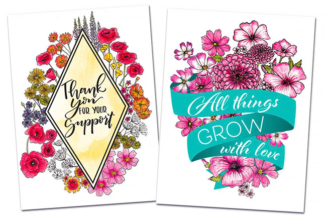 American Meadows Seed Packet Illustrations