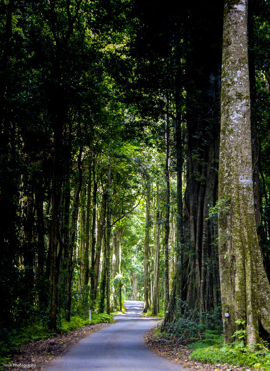 Queensland