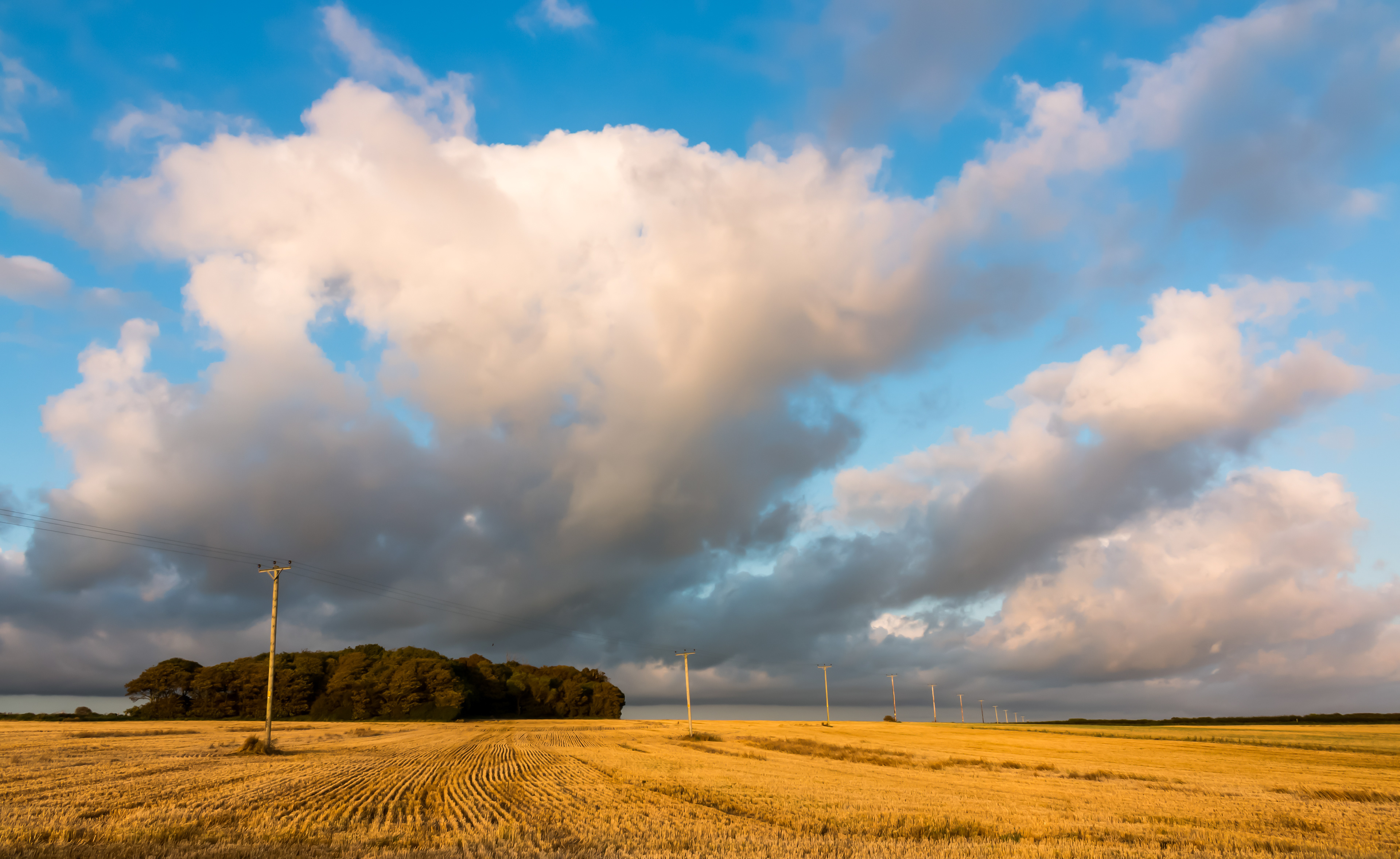 Llantwit Stubble Field