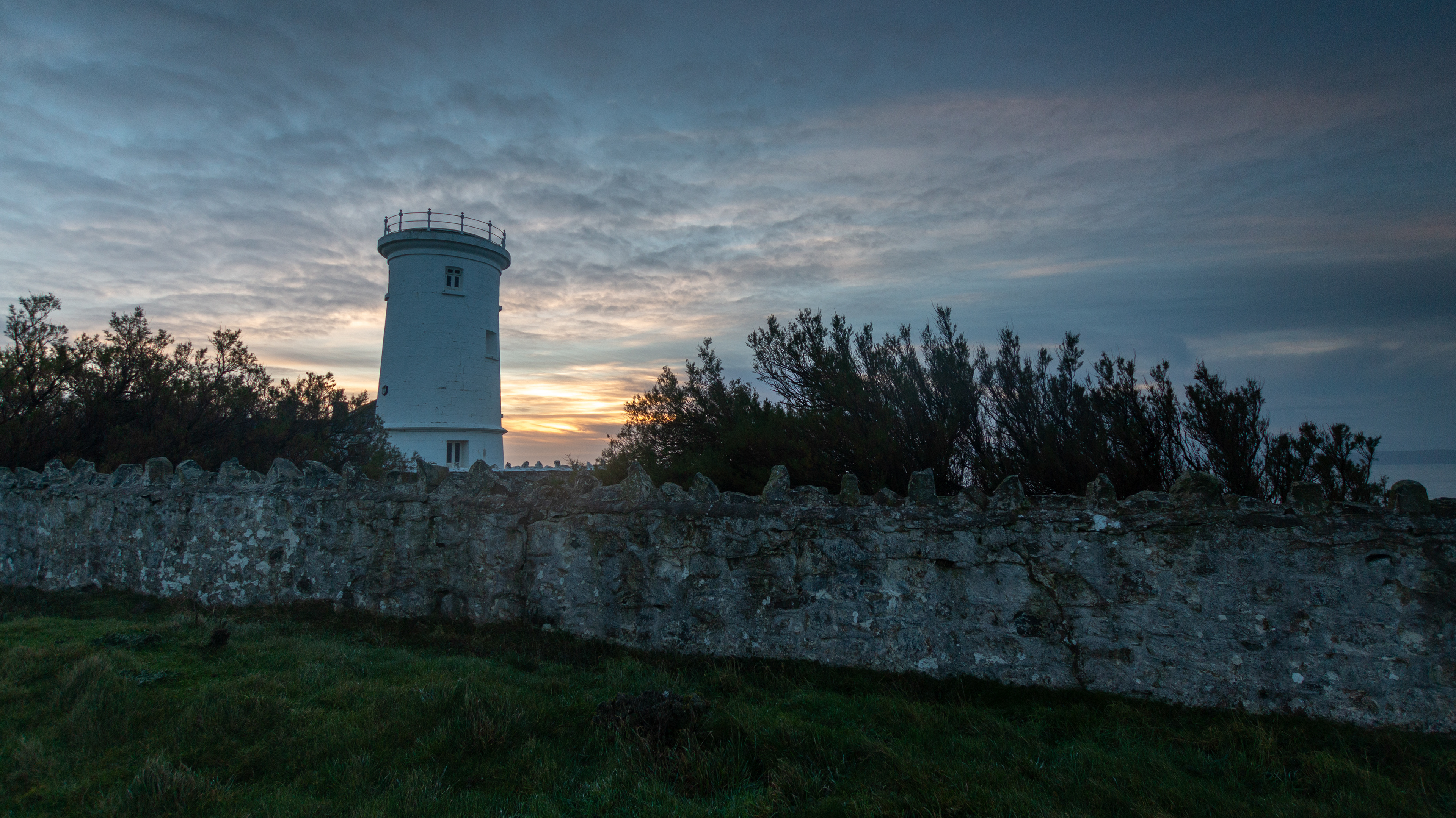 Nash West Tower and Hedge
