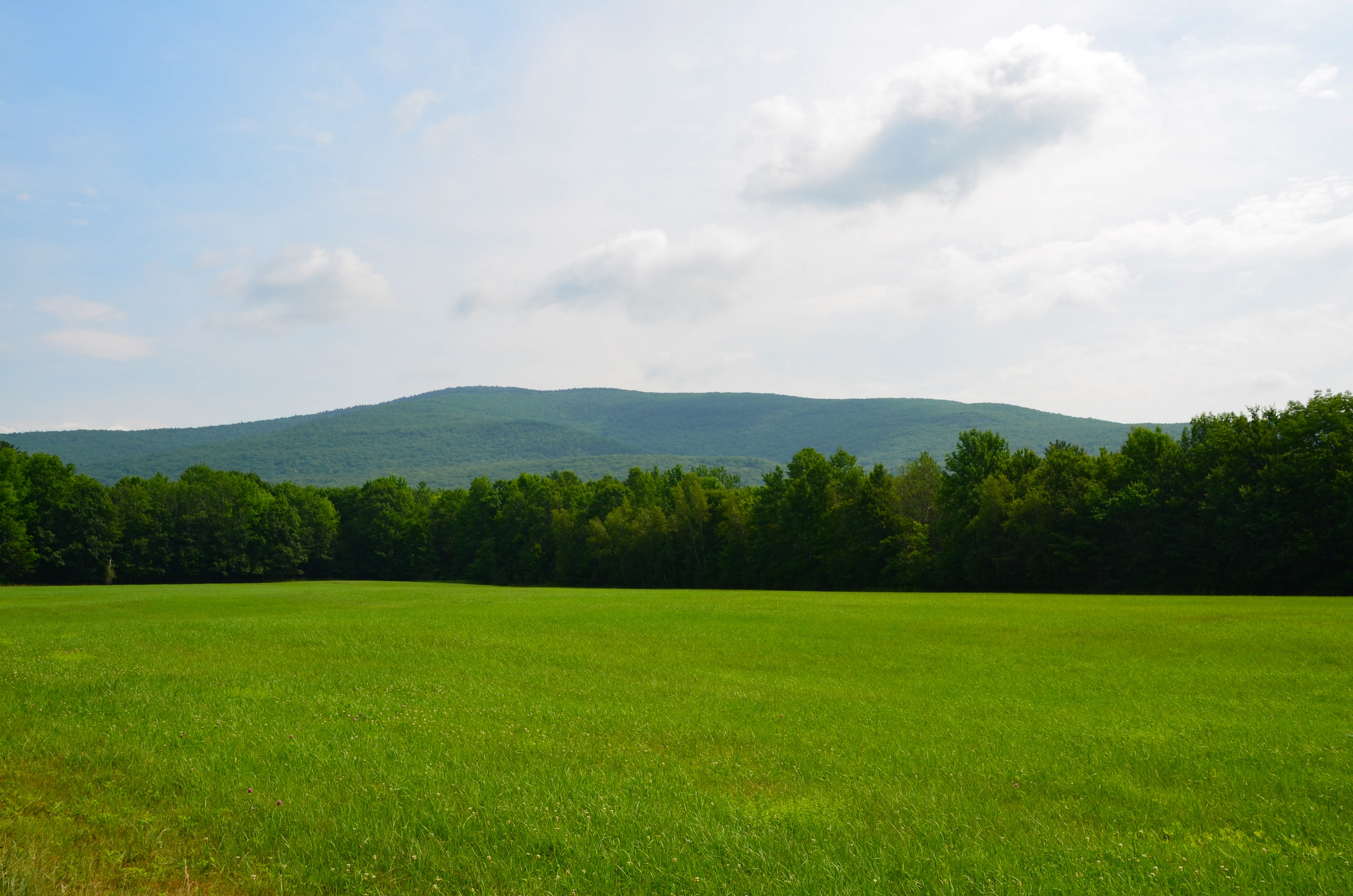 View from Route 109