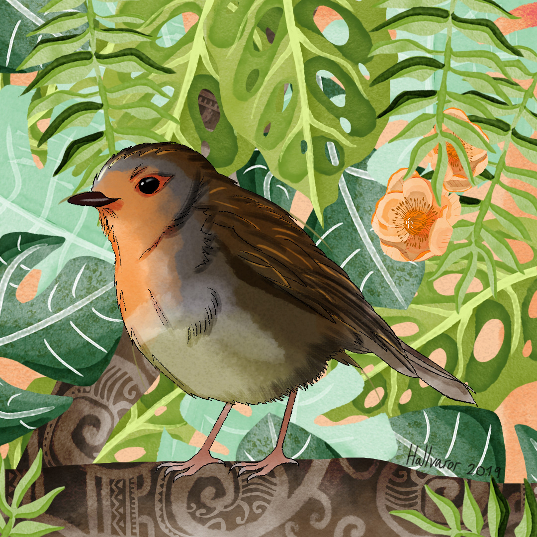 Robin, 2019