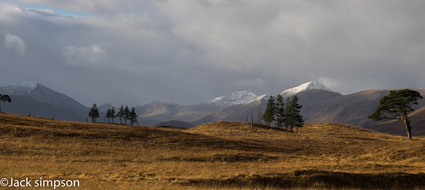 I shot this image from the banks of the Abhainn Shira river looking towards the cirque of Munros consisting of Ben Chuirn, Ben Starav, Stob Coirre nan Albannaich, Meall nan Eun and Stob Ghabhar. I later cropped the photograph to give the trees more prominence and make them the focal point.