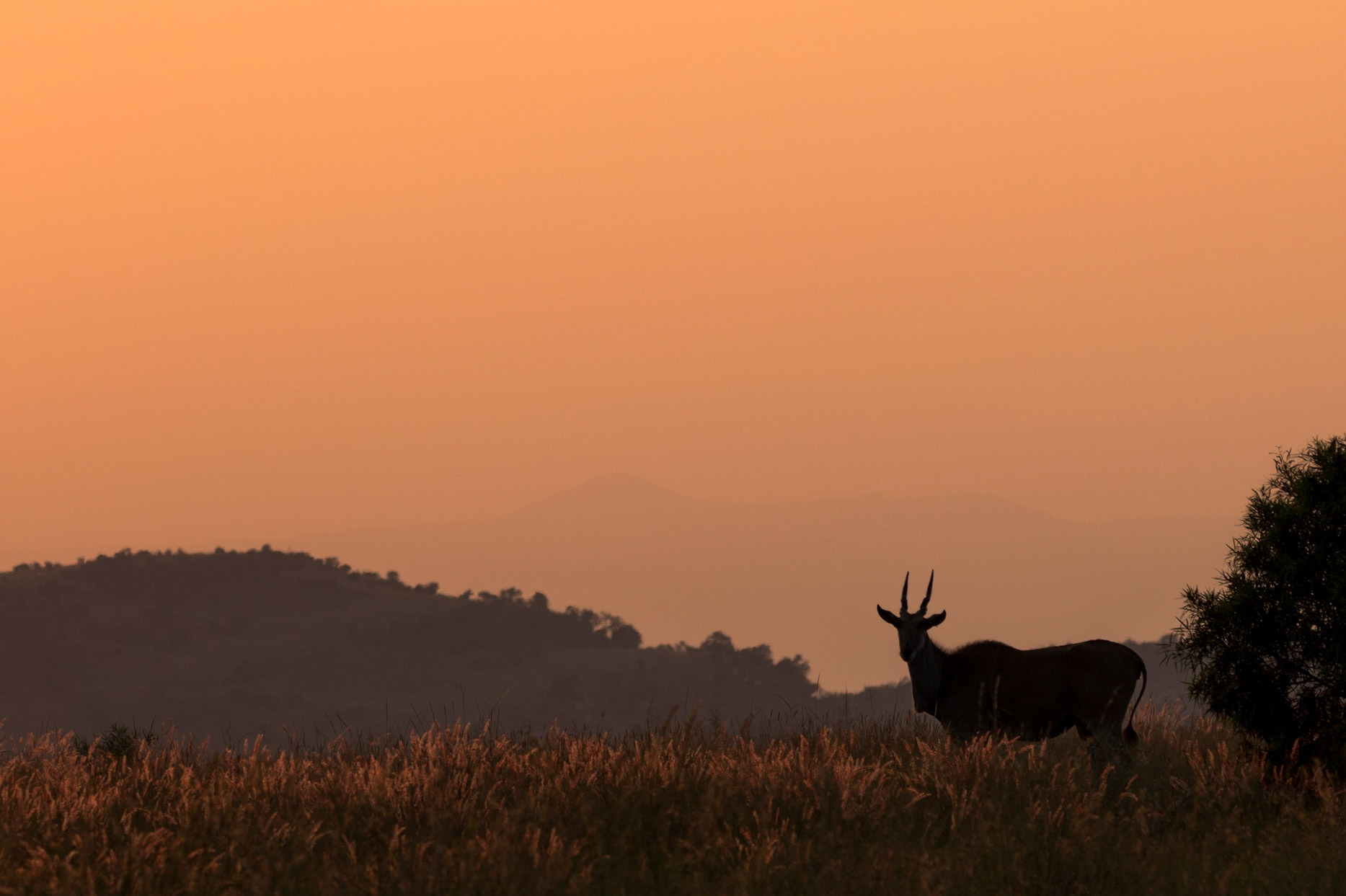 Afrique du Sud