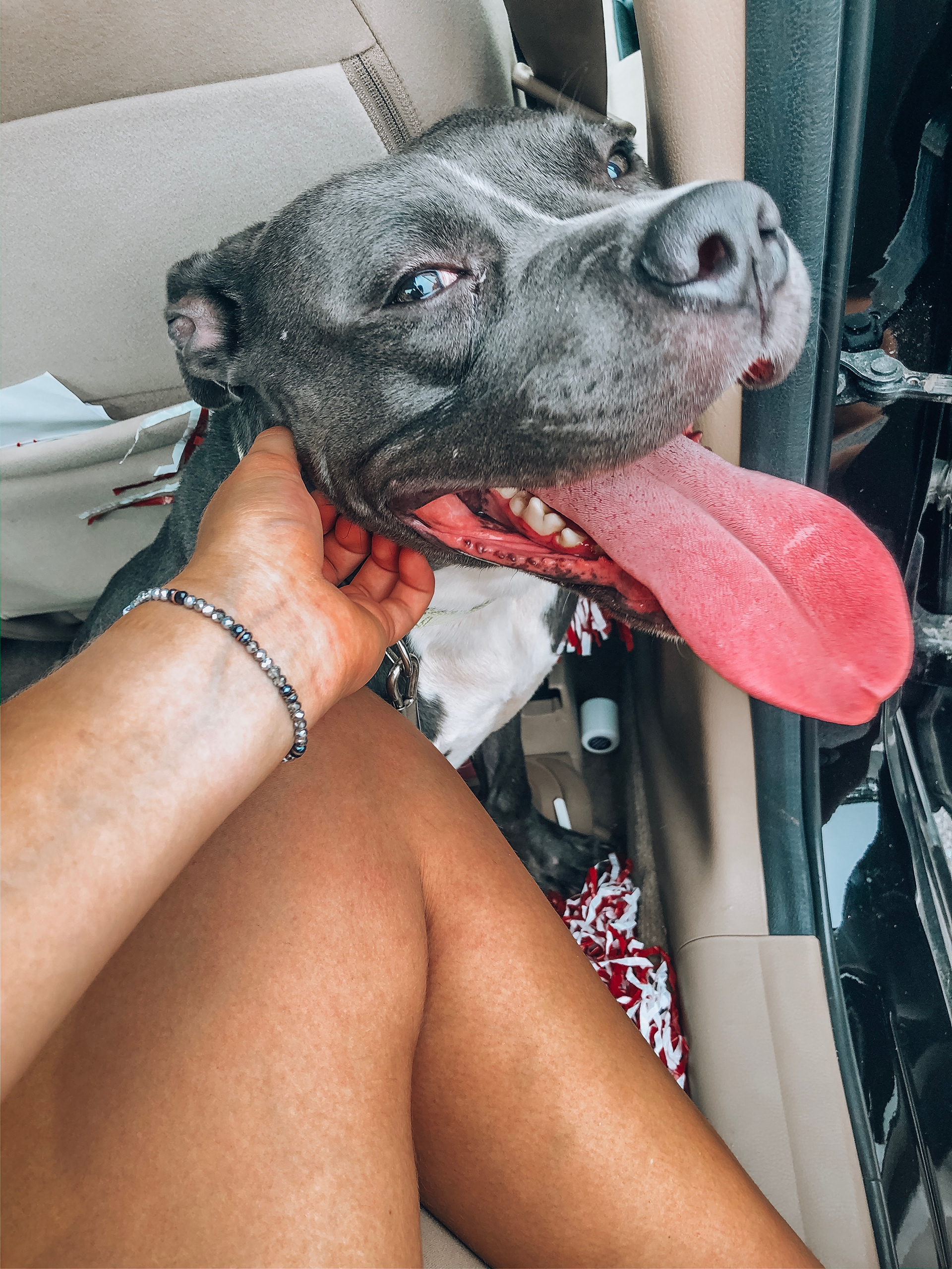 Sun's out tongue's out