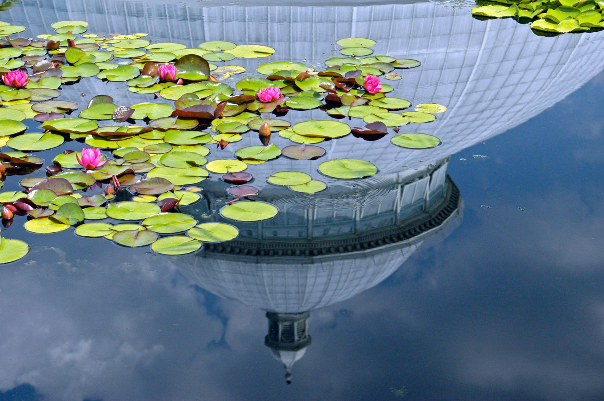The dome of the Enid A. Haupt Conservatory reflects in the pond of the Palm Court at the New York Botanical Garden in the Bronx.