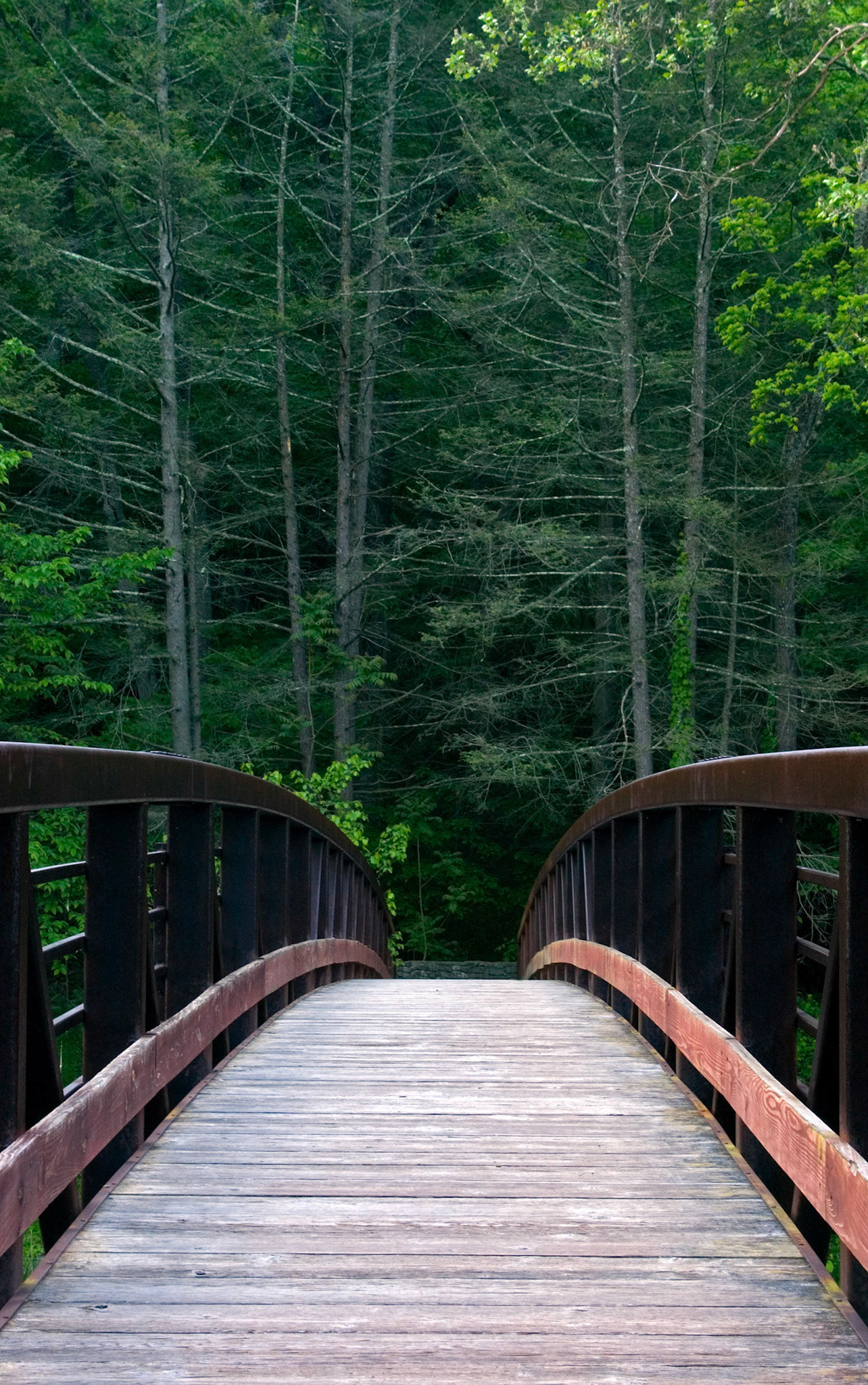 The Seneca Rocks Trail crosses the North Fork of the South Branch of the Potomac River via this foot bridge at the Seneca Rocks National Recreation Area in West Virginia.