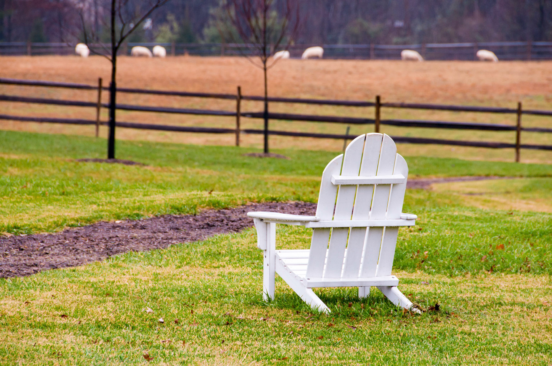 Adirondack chair overlooking the sheep pasture awaits visitors in the backyard at the Inn at Little Washington in Washington Virginia.