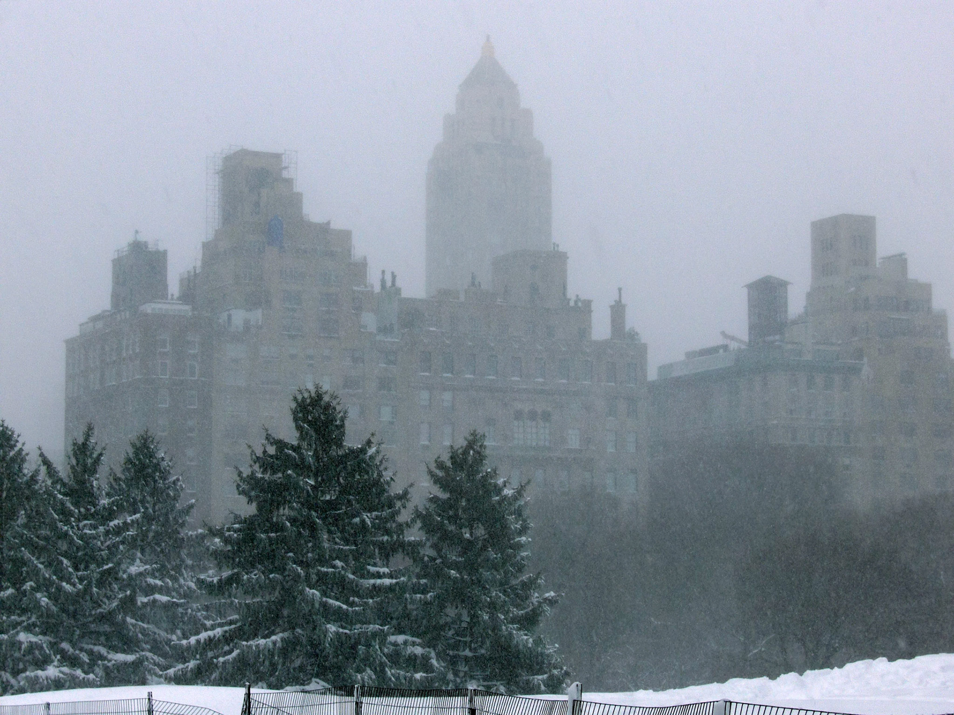 Part of the Manhattan skyline as seen from Central Park during a blizzard in NYC.