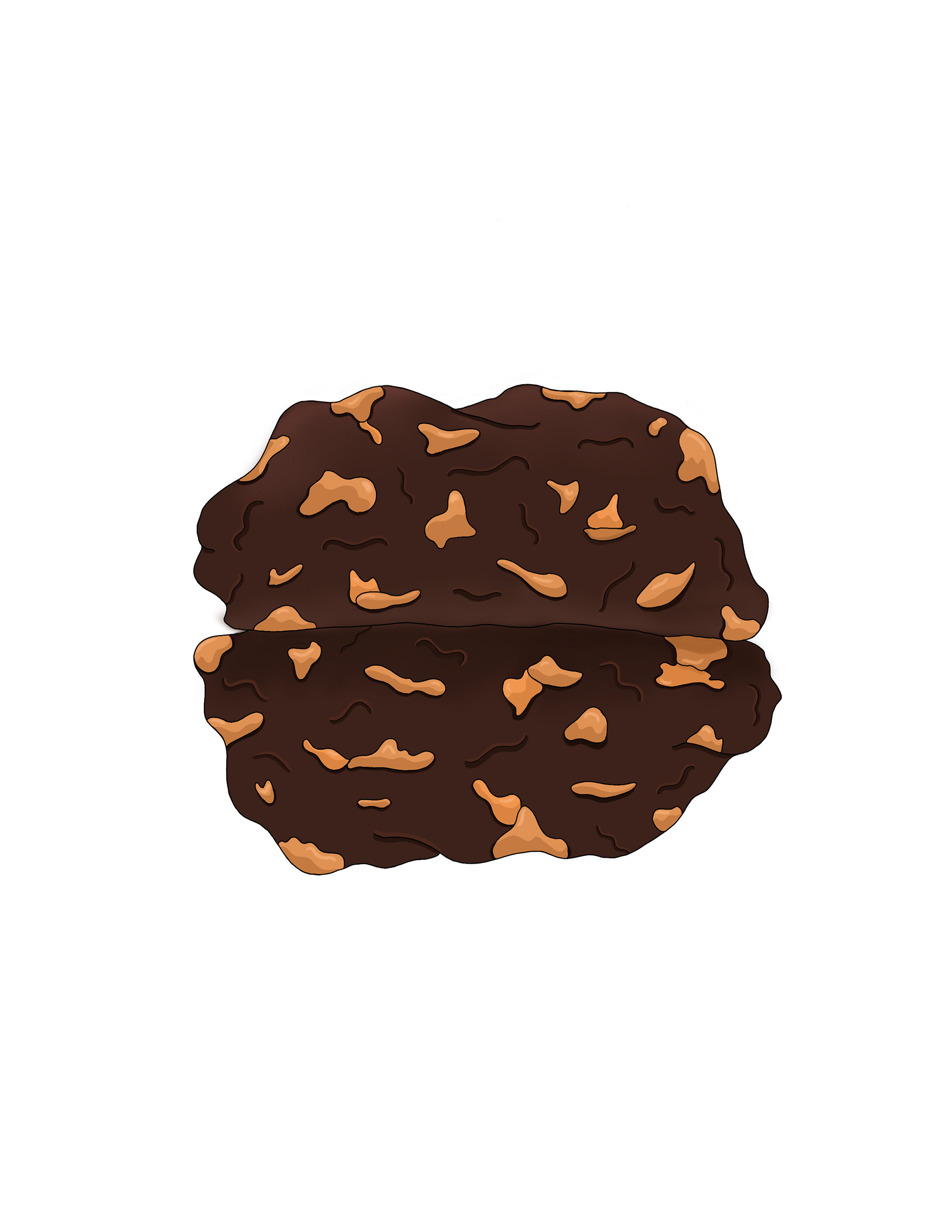 Chocolate Peanut Butter
