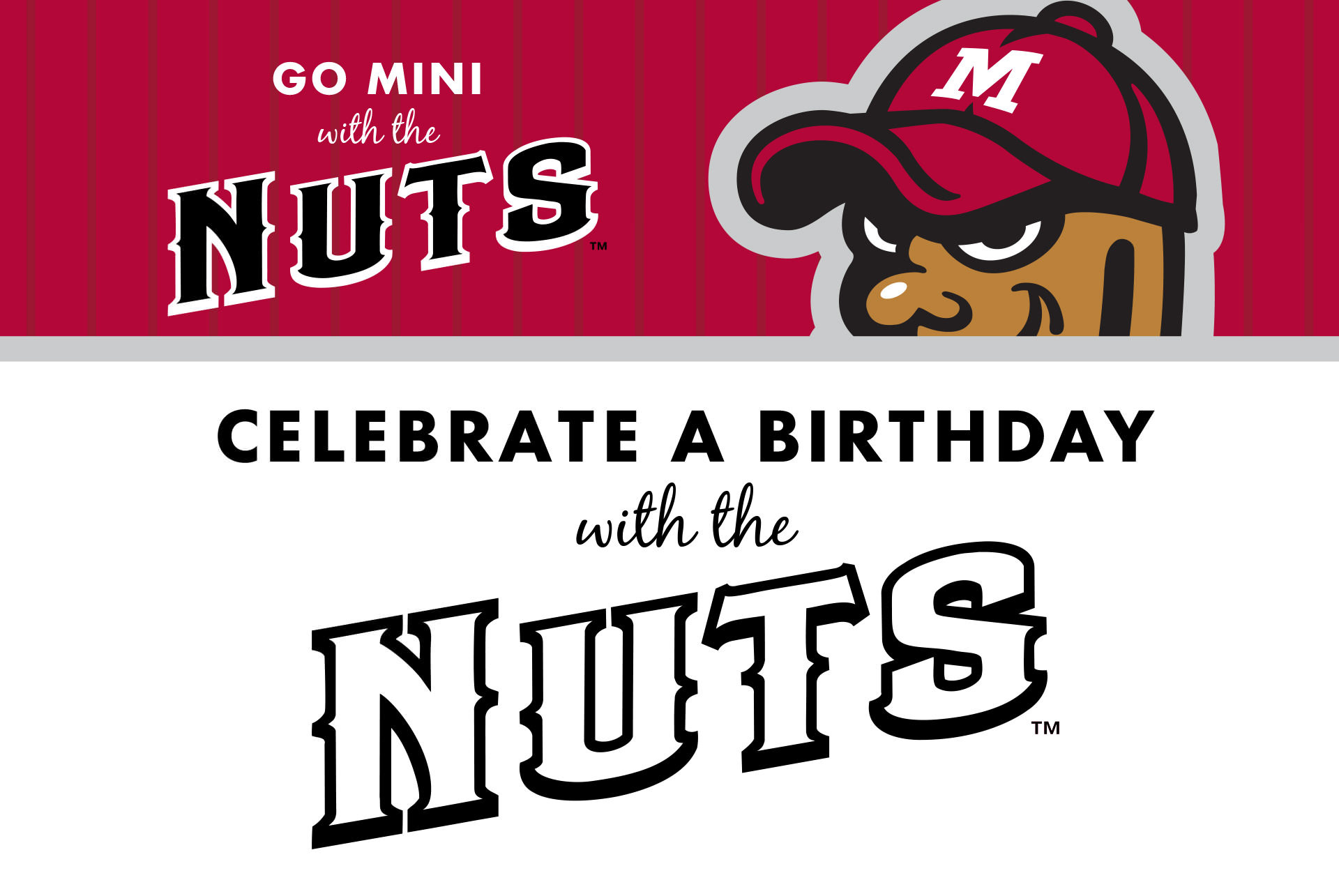 Stephen Hollingsworth Modesto Nuts Professional Baseball Club