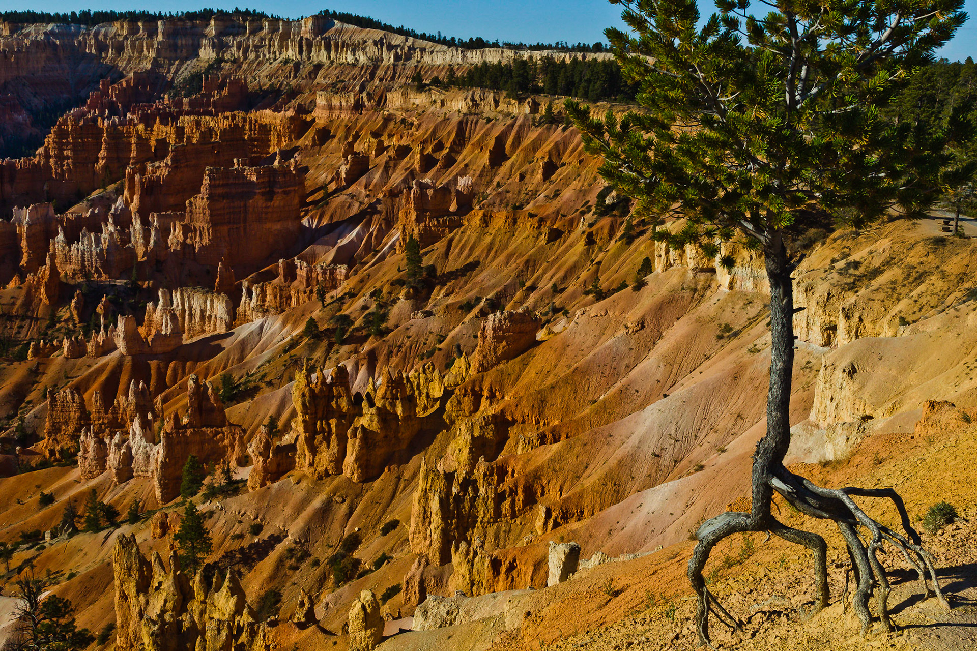Bryce NP Utah