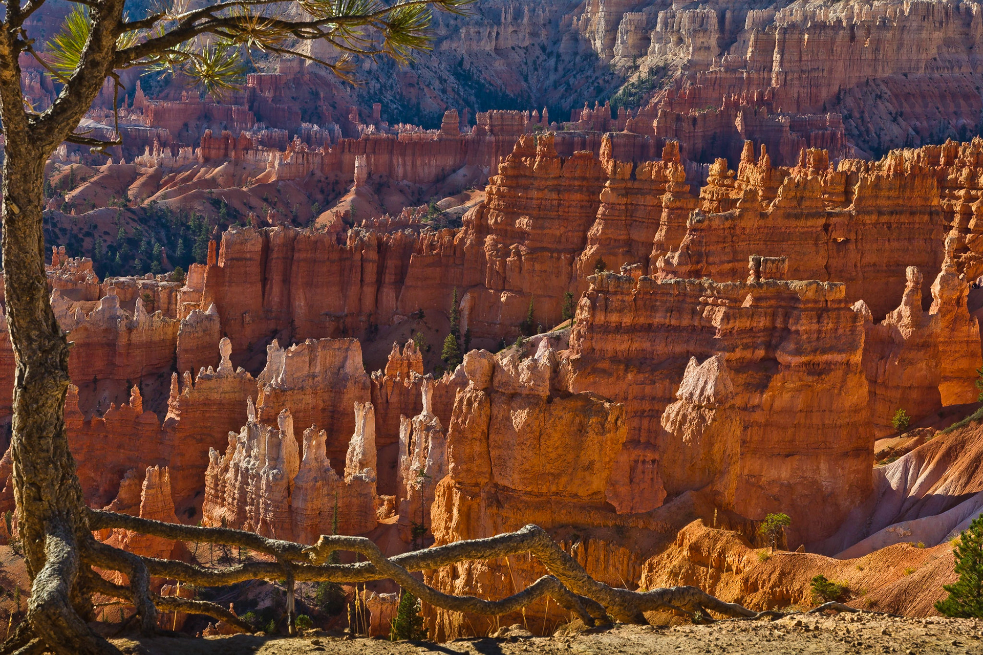 Bryce NP Utah